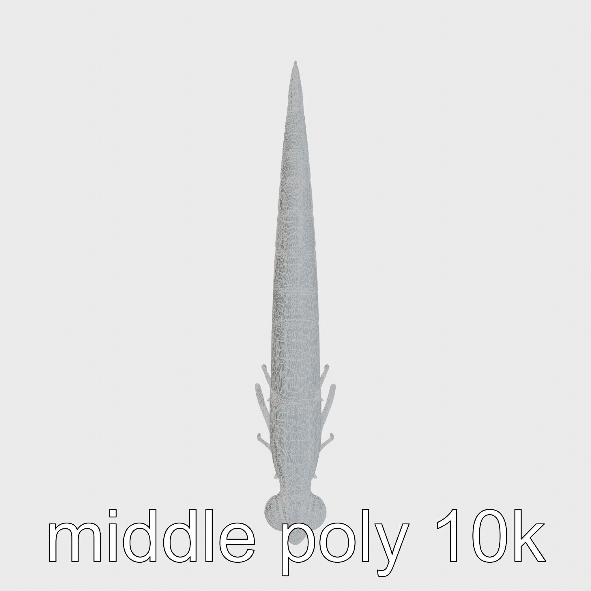 Bioluminescent Comb Jelly 3D Model with Cilia Details Low-poly 3D model_5