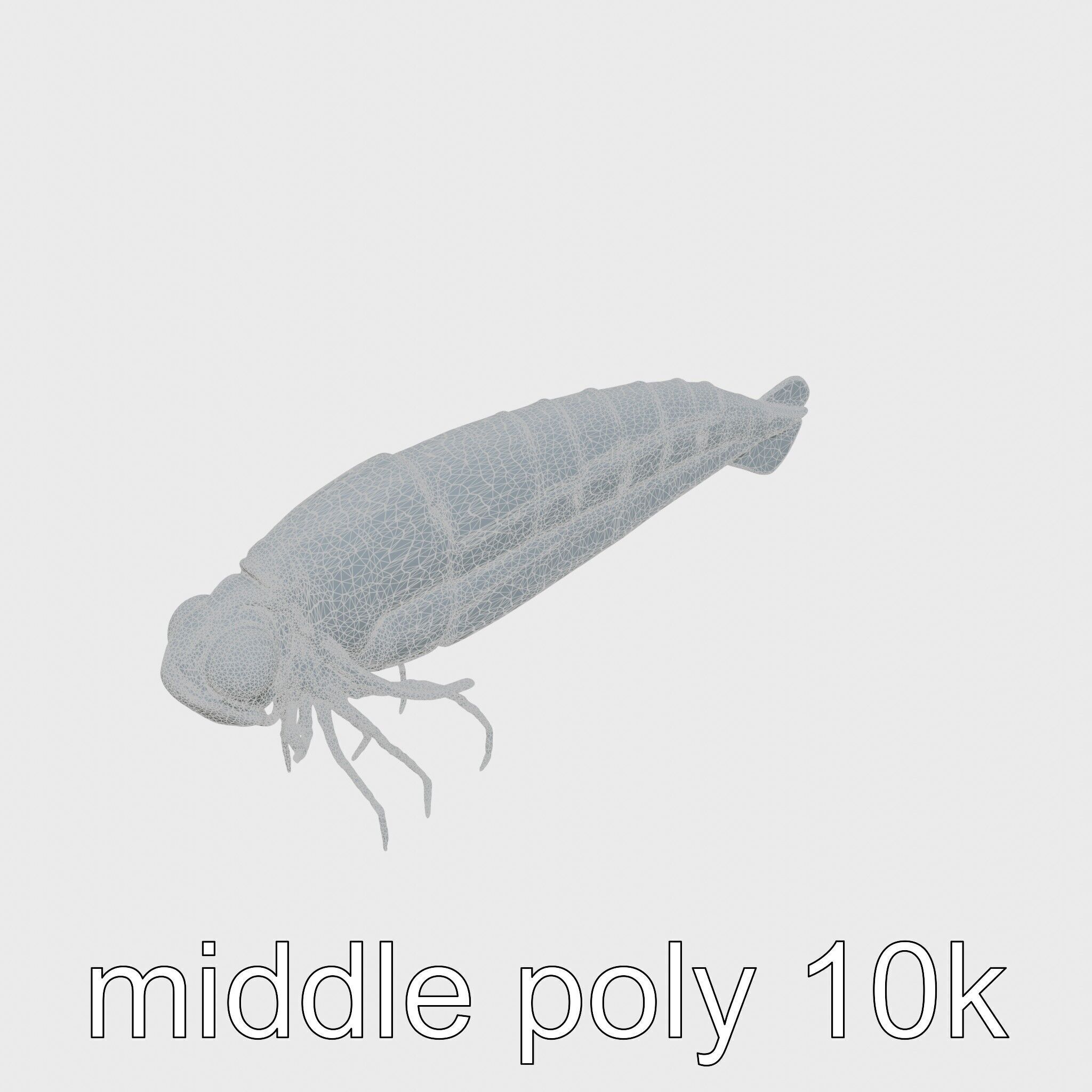 Bioluminescent Comb Jelly 3D Model with Cilia Details Low-poly 3D model_11