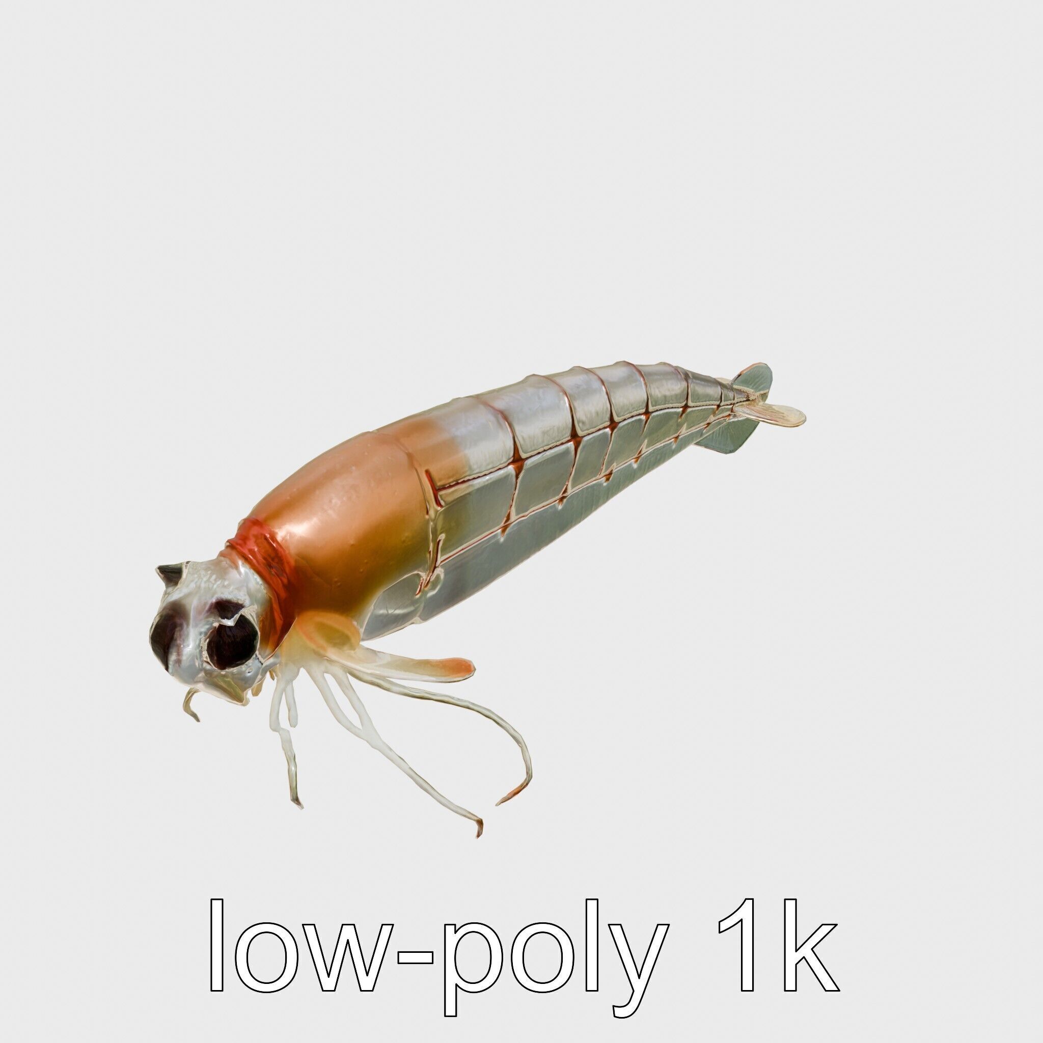 Bioluminescent Comb Jelly 3D Model with Cilia Details Low-poly 3D model_25