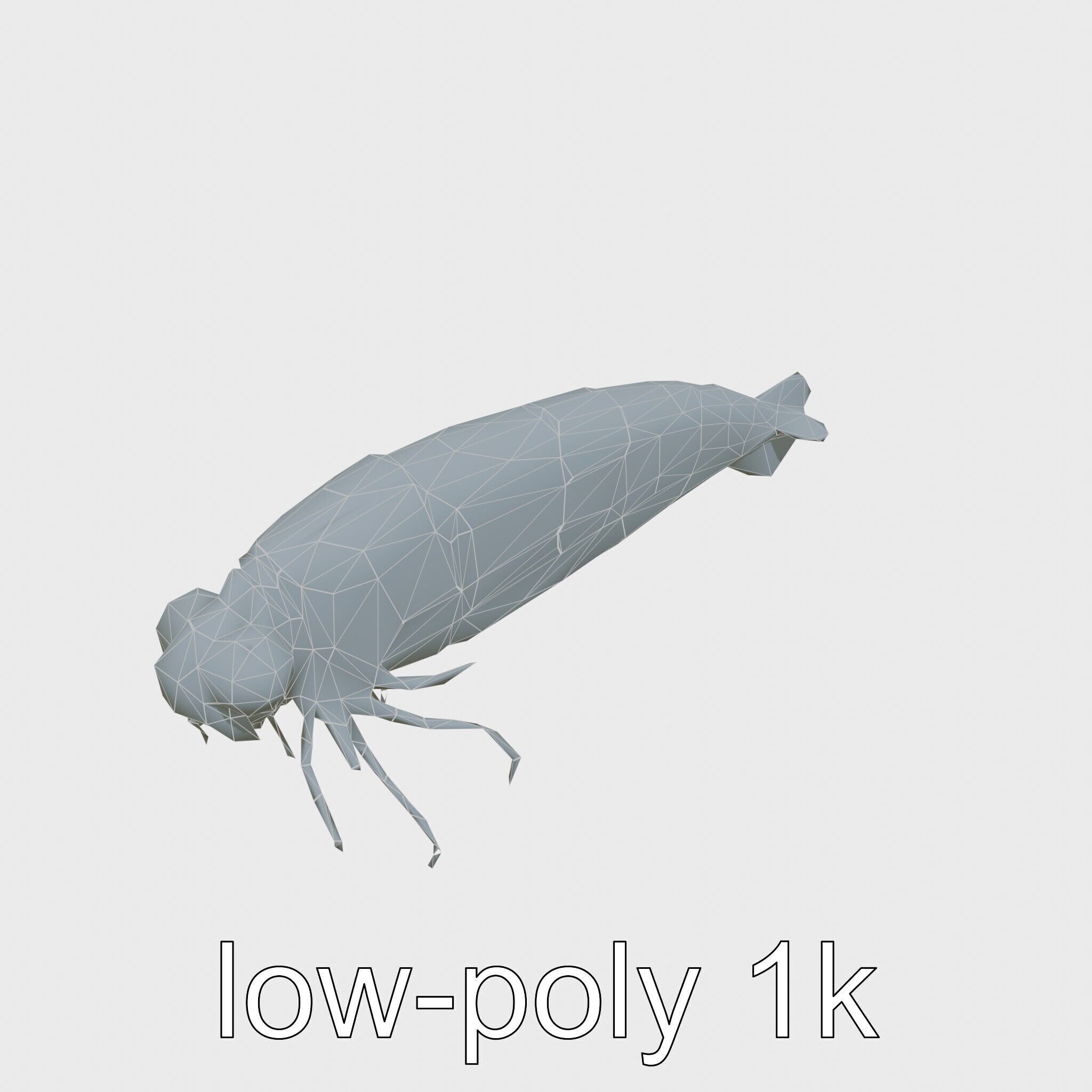 Bioluminescent Comb Jelly 3D Model with Cilia Details Low-poly 3D model_23