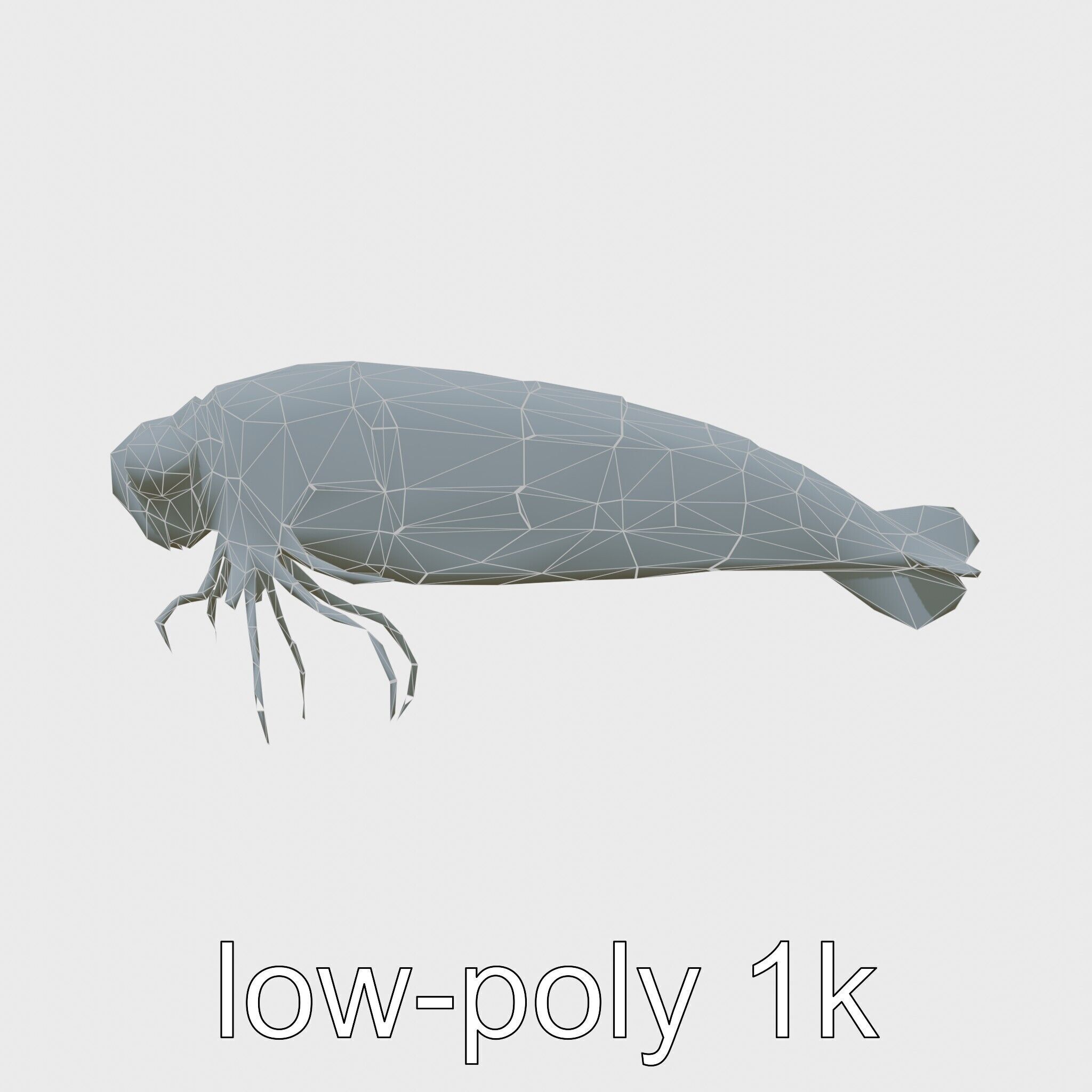 Bioluminescent Comb Jelly 3D Model with Cilia Details Low-poly 3D model_7