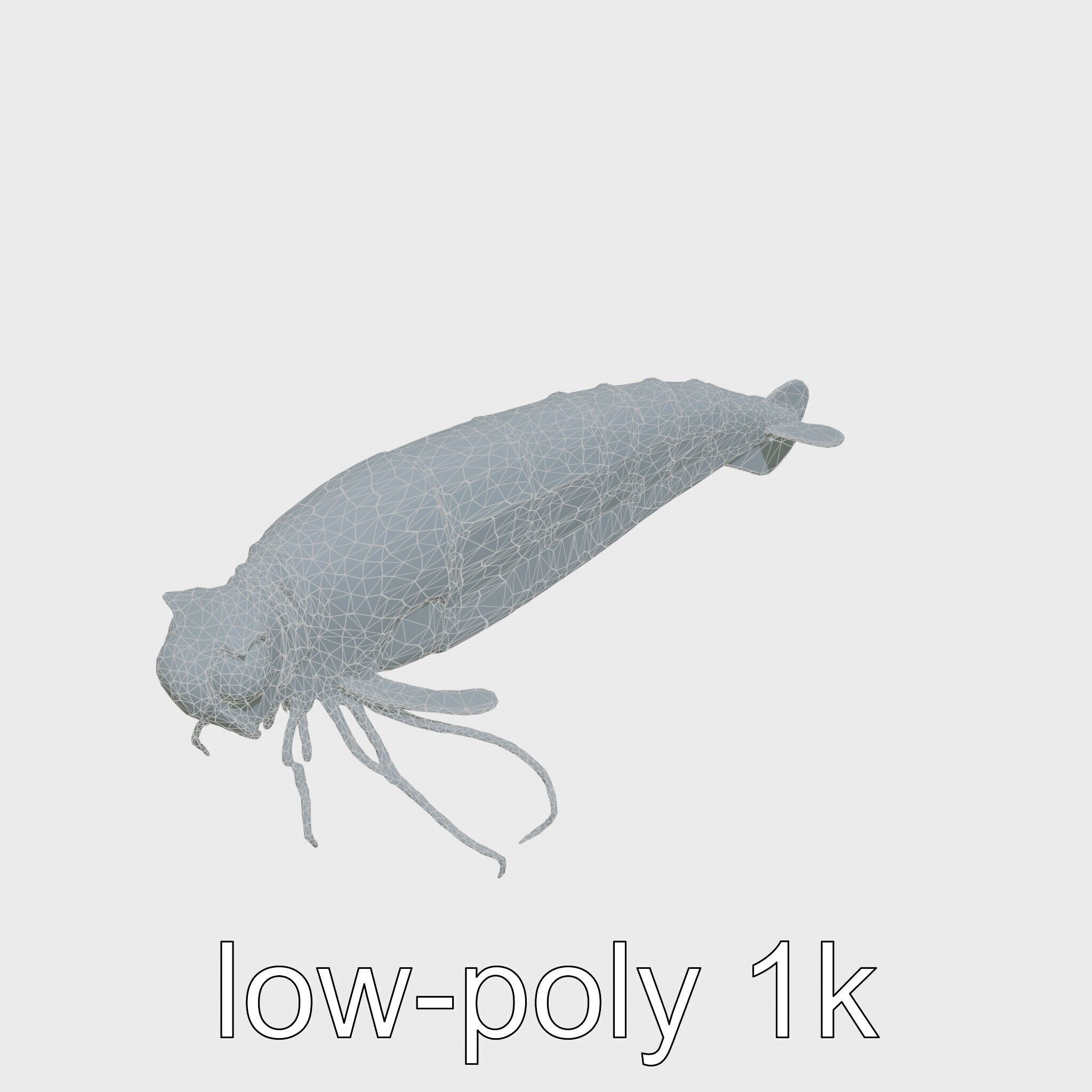 Bioluminescent Comb Jelly 3D Model with Cilia Details Low-poly 3D model_15