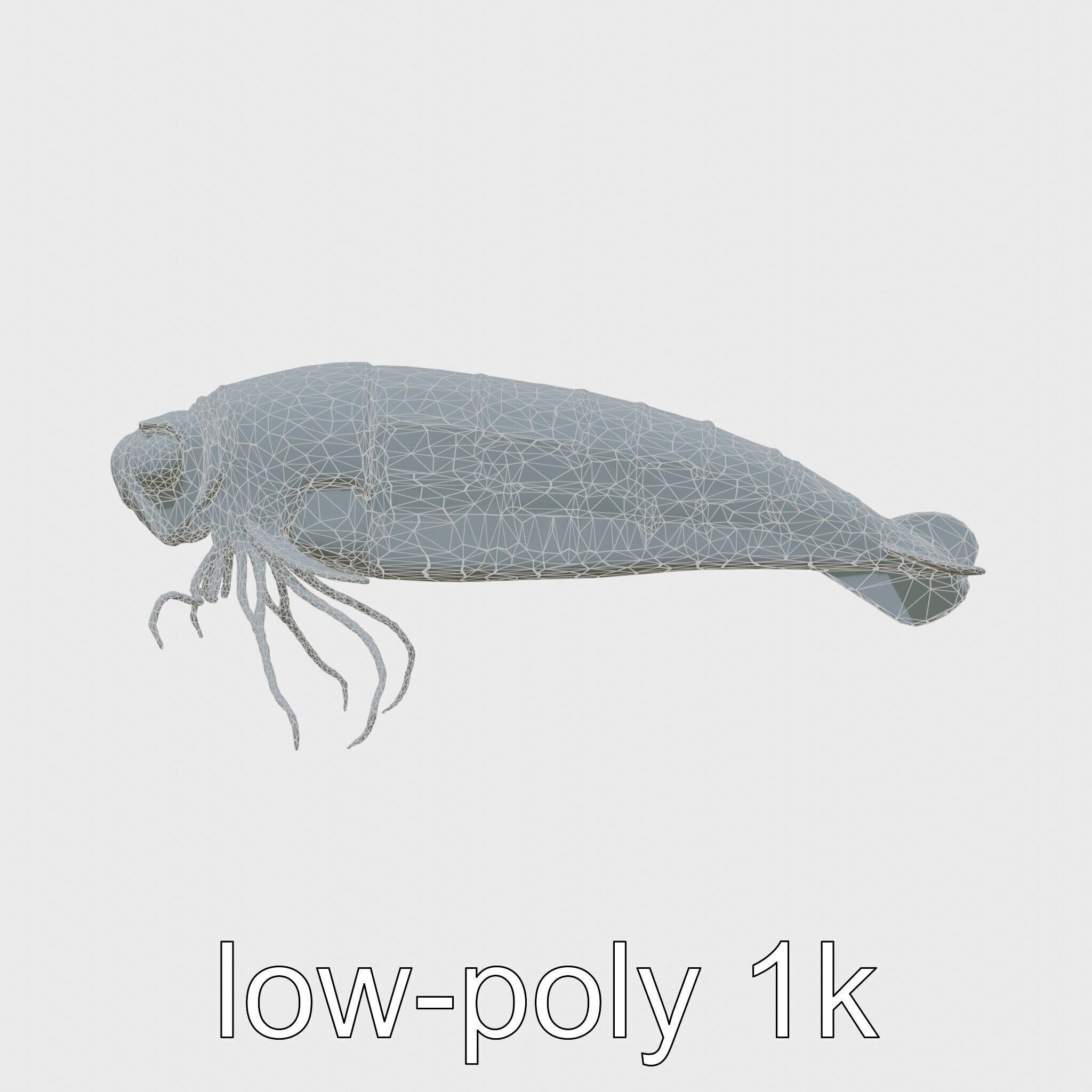 Bioluminescent Comb Jelly 3D Model with Cilia Details Low-poly 3D model_6