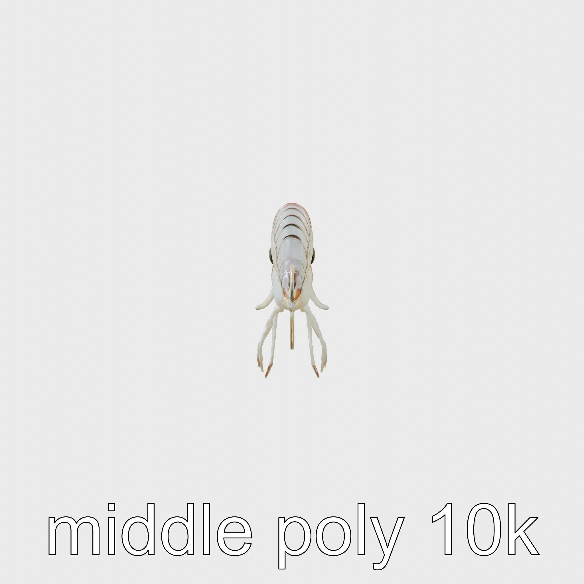 Bioluminescent Comb Jelly 3D Model with Cilia Details Low-poly 3D model_8