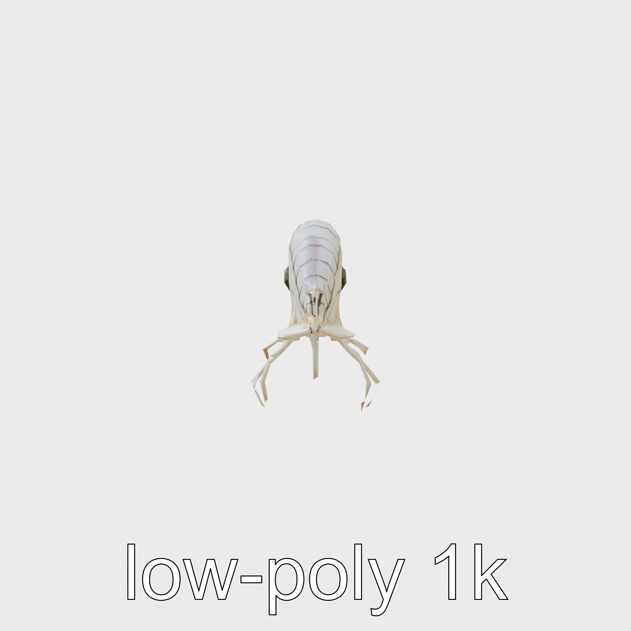 Bioluminescent Comb Jelly 3D Model with Cilia Details Low-poly 3D model_16