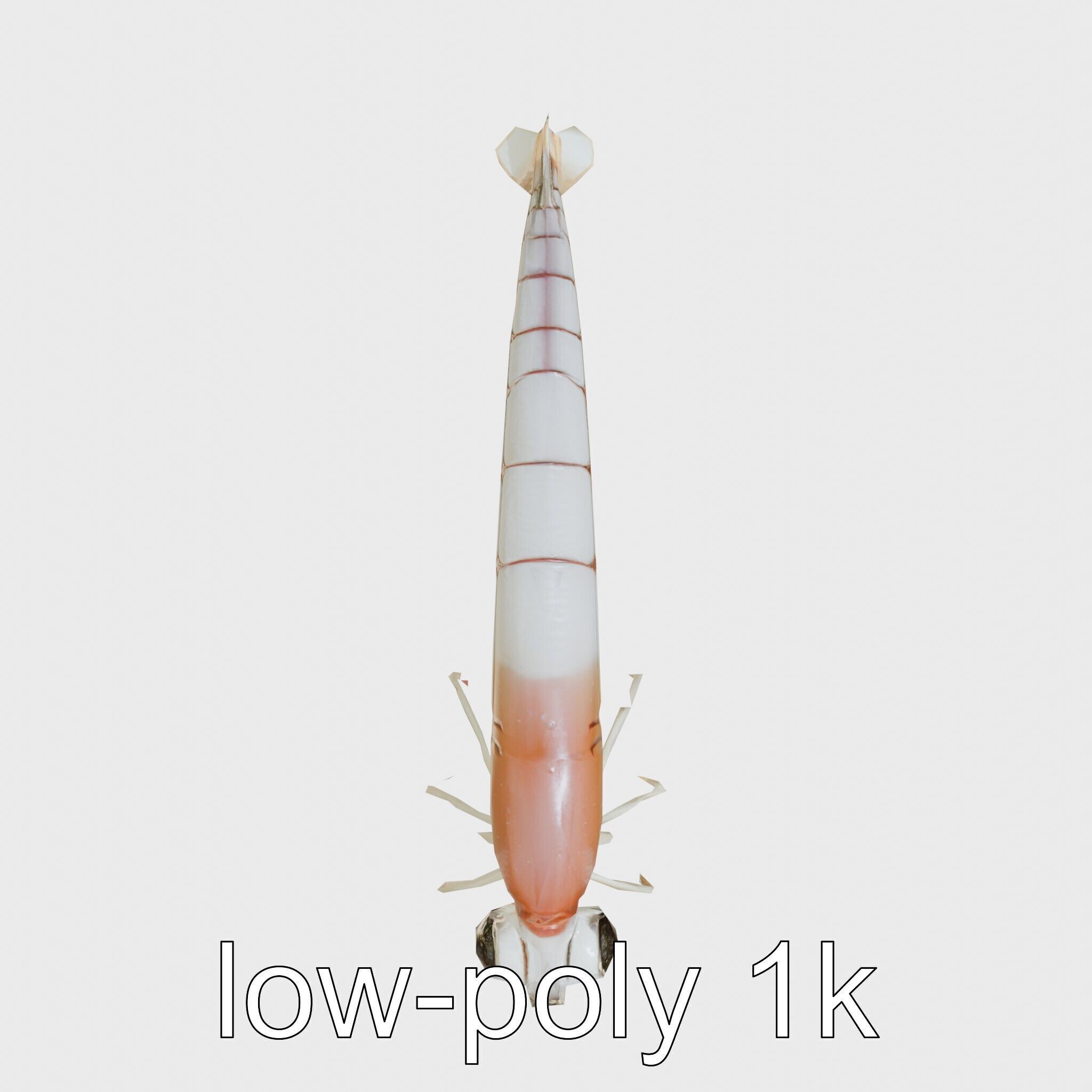 Bioluminescent Comb Jelly 3D Model with Cilia Details Low-poly 3D model_10