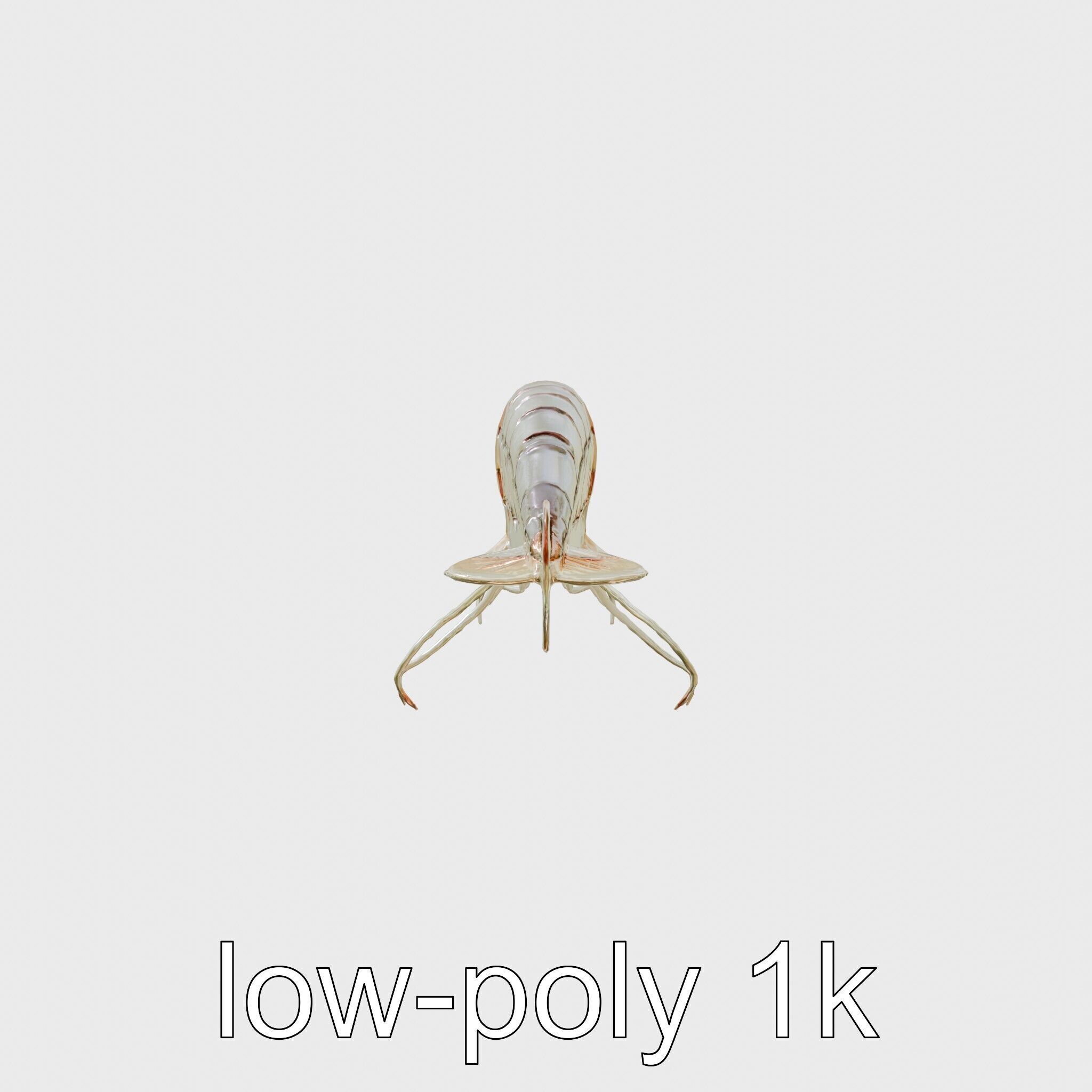 Bioluminescent Comb Jelly 3D Model with Cilia Details Low-poly 3D model_13