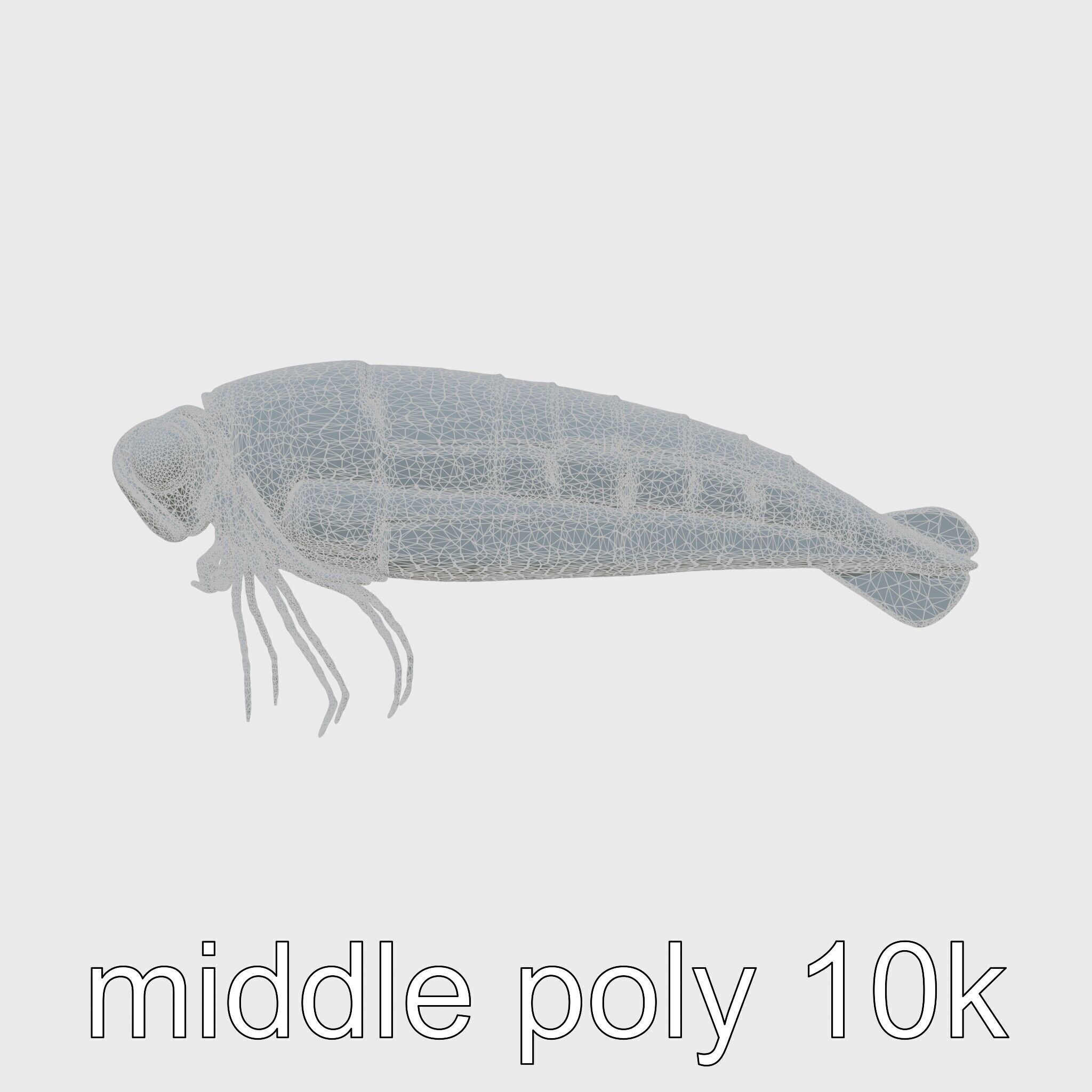 Bioluminescent Comb Jelly 3D Model with Cilia Details Low-poly 3D model_24