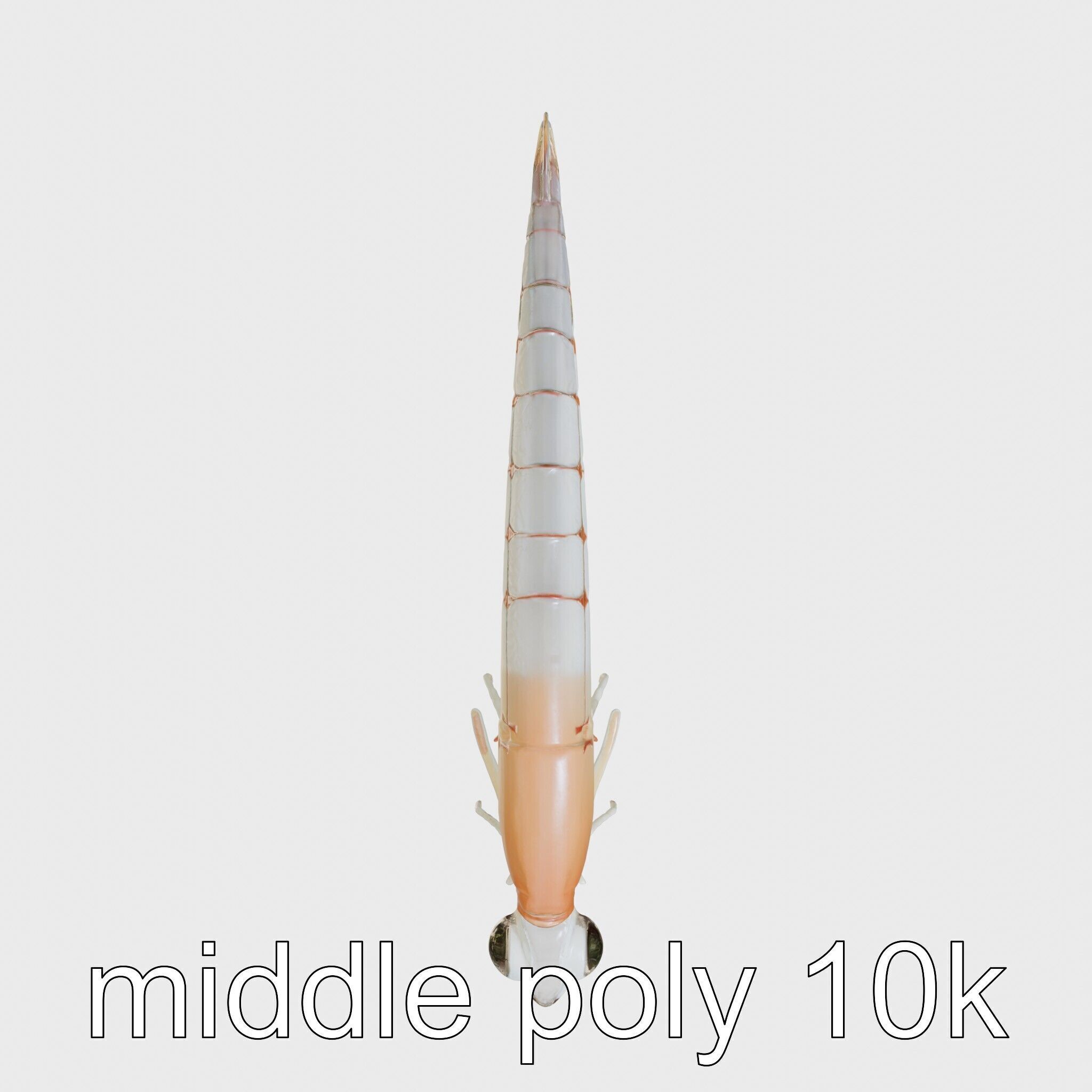 Bioluminescent Comb Jelly 3D Model with Cilia Details Low-poly 3D model_2