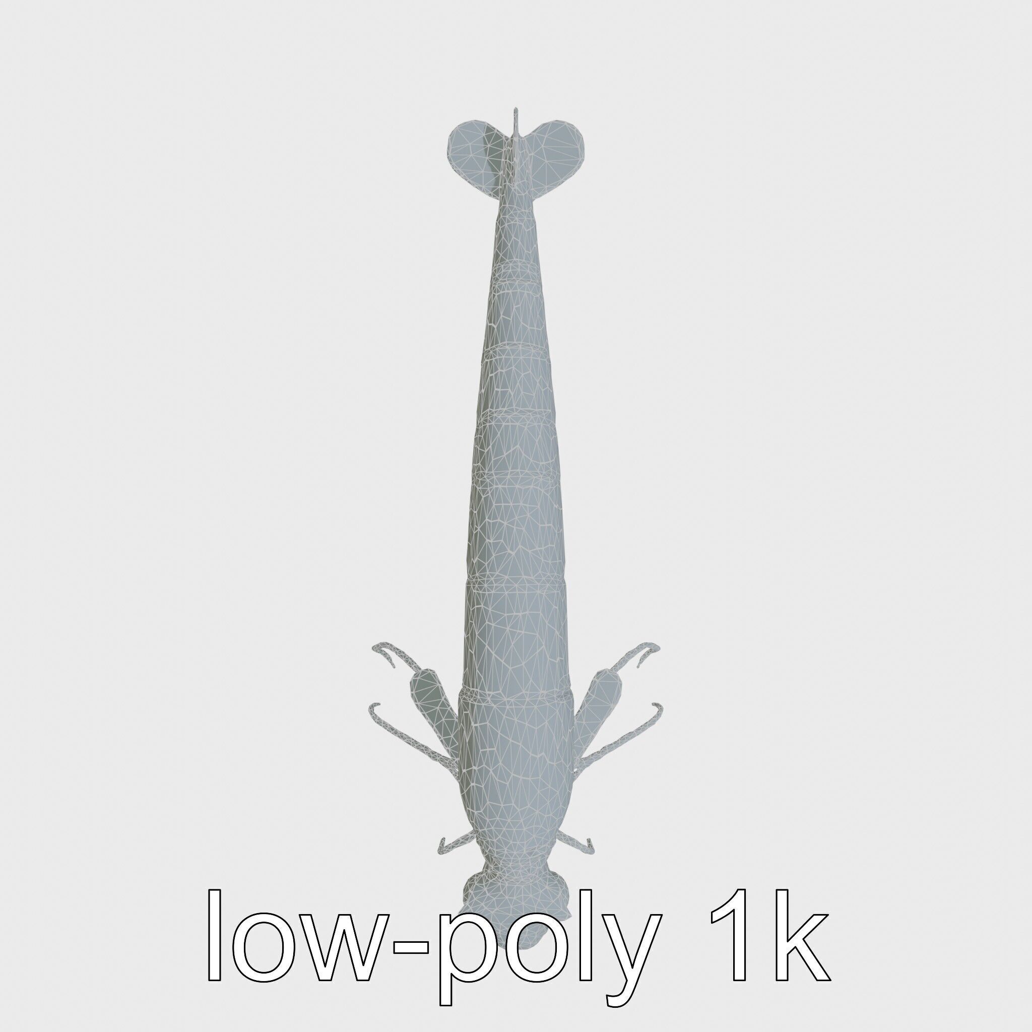 Bioluminescent Comb Jelly 3D Model with Cilia Details Low-poly 3D model_12