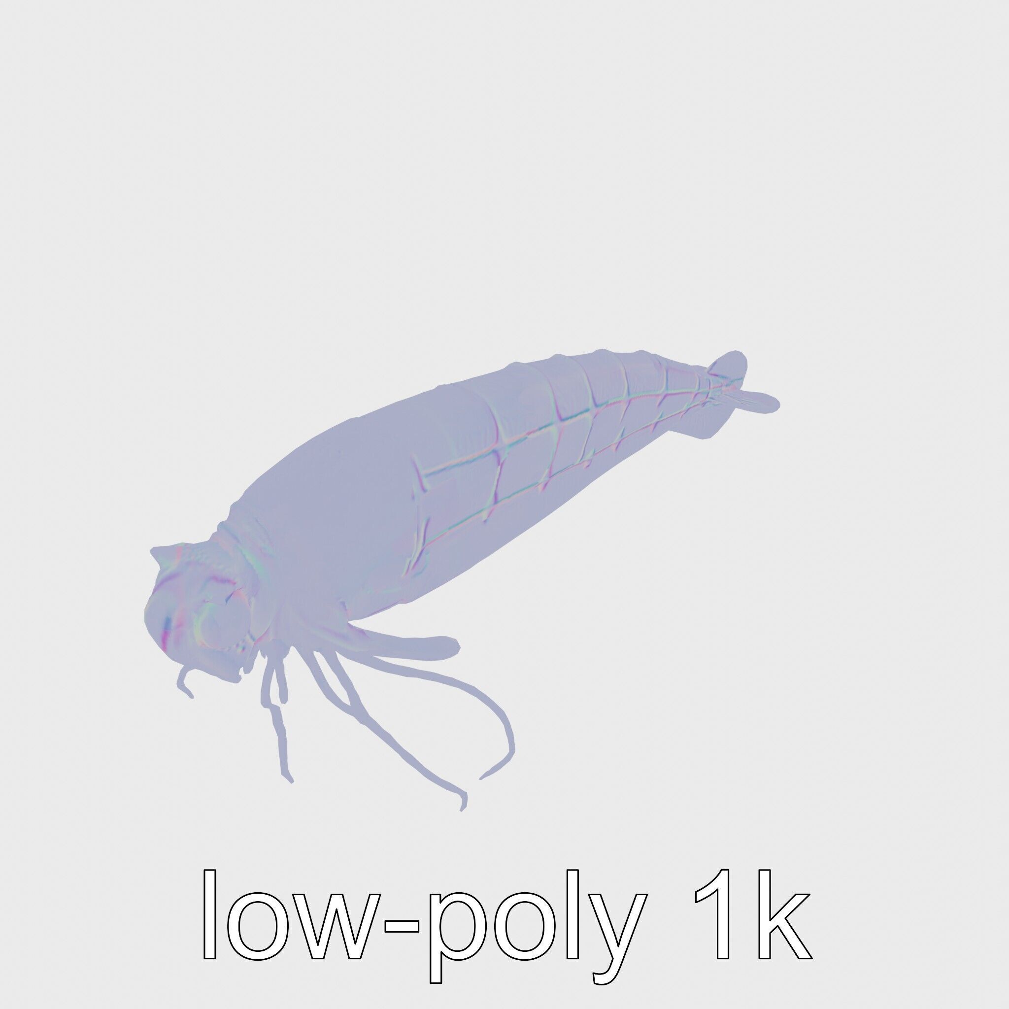 Bioluminescent Comb Jelly 3D Model with Cilia Details Low-poly 3D model_22