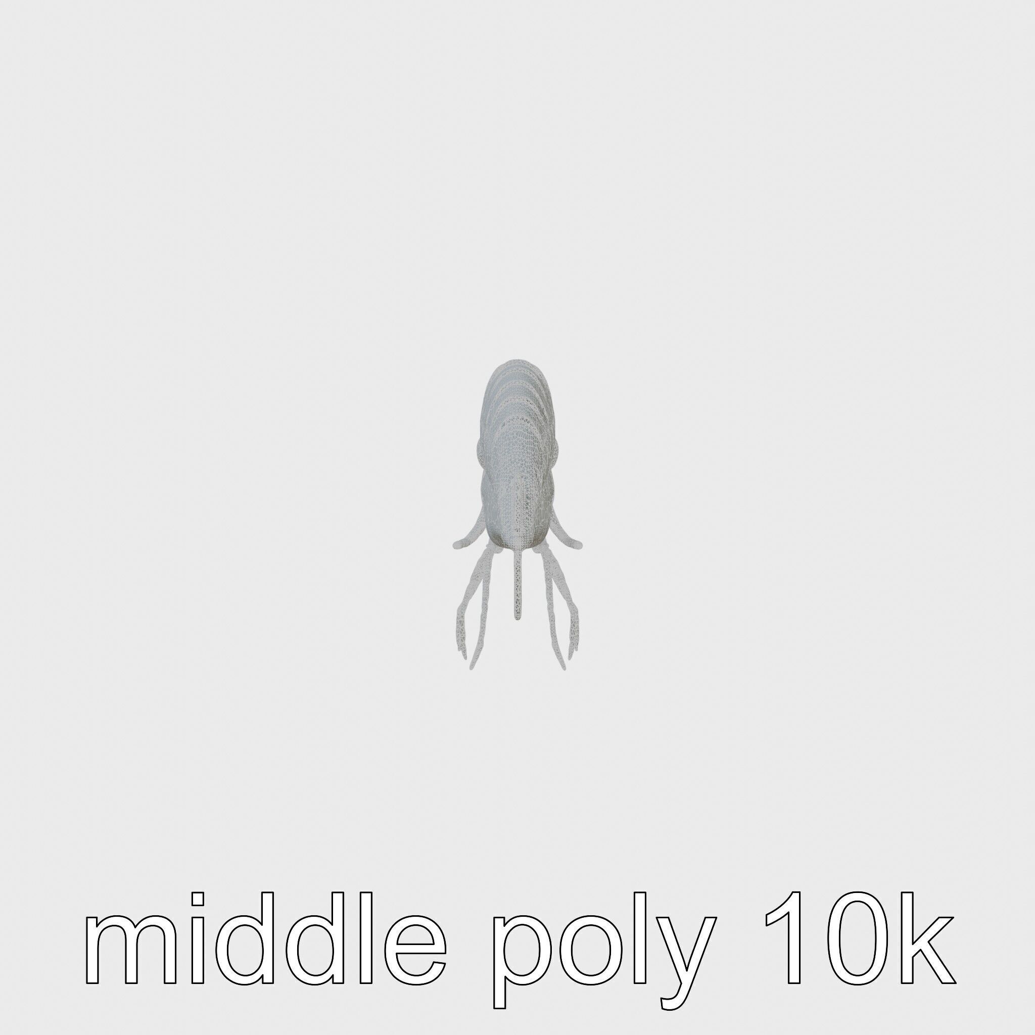 Bioluminescent Comb Jelly 3D Model with Cilia Details Low-poly 3D model_20