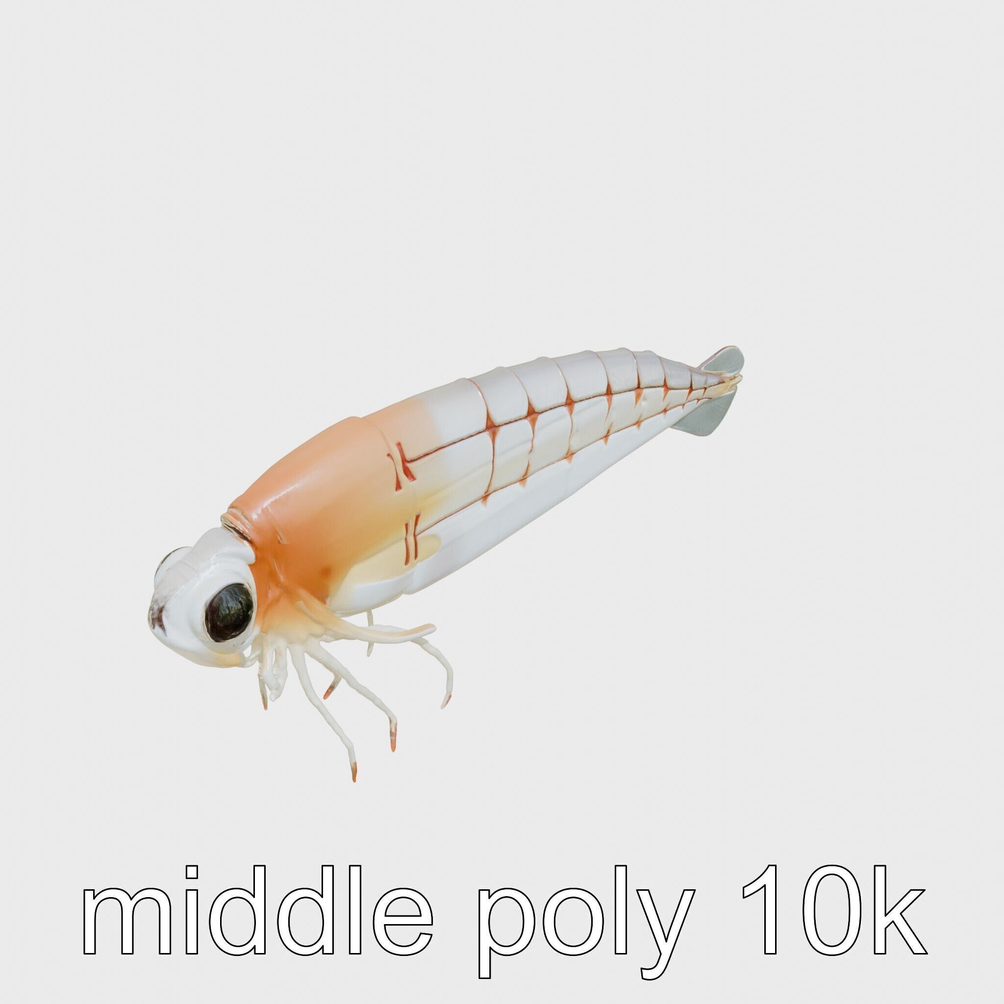 Bioluminescent Comb Jelly 3D Model with Cilia Details Low-poly 3D model_19