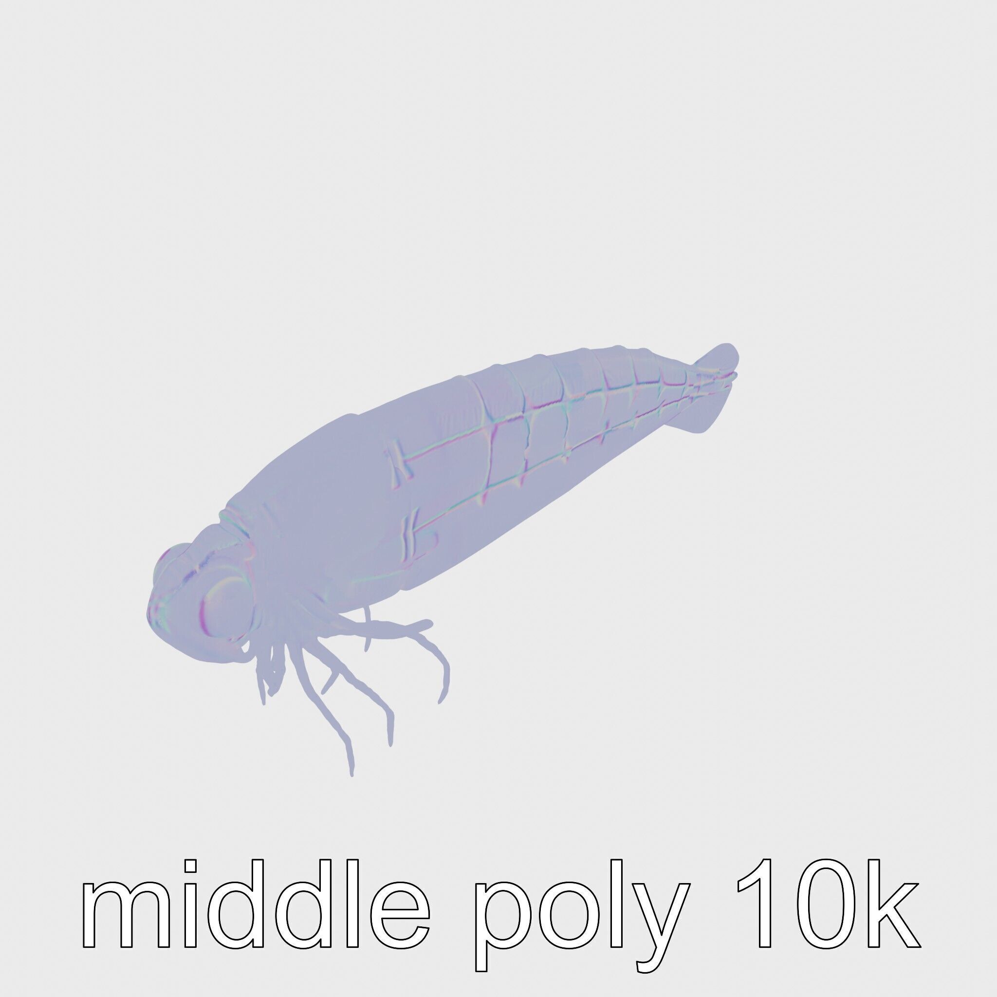 Bioluminescent Comb Jelly 3D Model with Cilia Details Low-poly 3D model_21