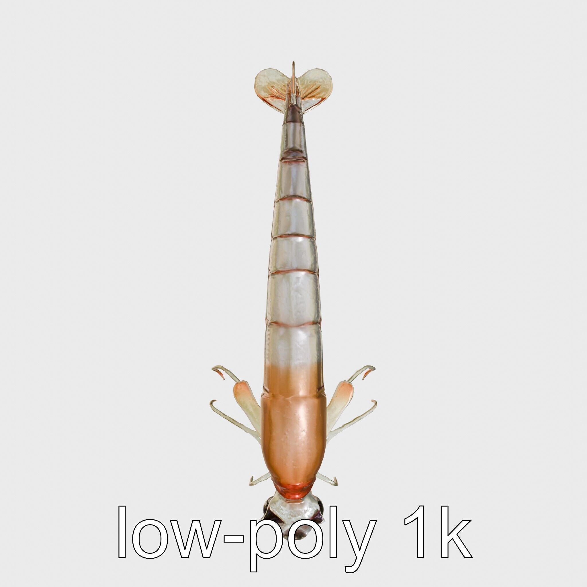 Bioluminescent Comb Jelly 3D Model with Cilia Details Low-poly 3D model_9