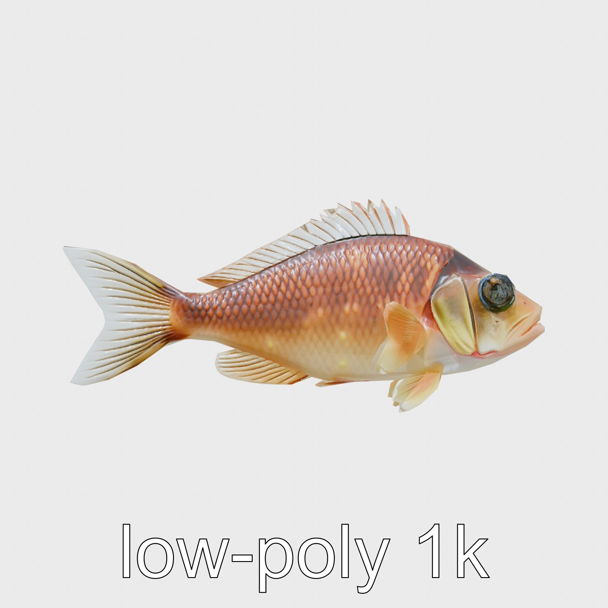 Lanternfish Bioluminescent Photophores Detailed Model Low-poly 3D model_30