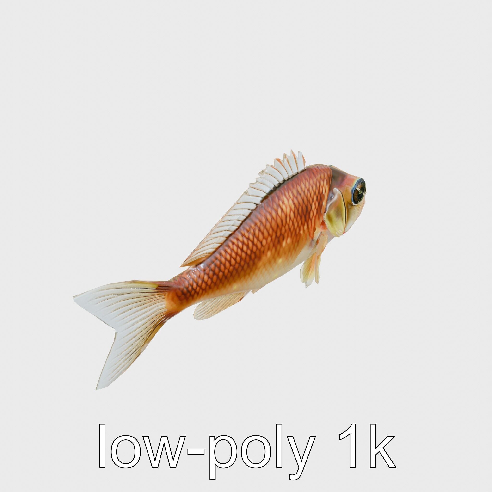 Lanternfish Bioluminescent Photophores Detailed Model Low-poly 3D model_10