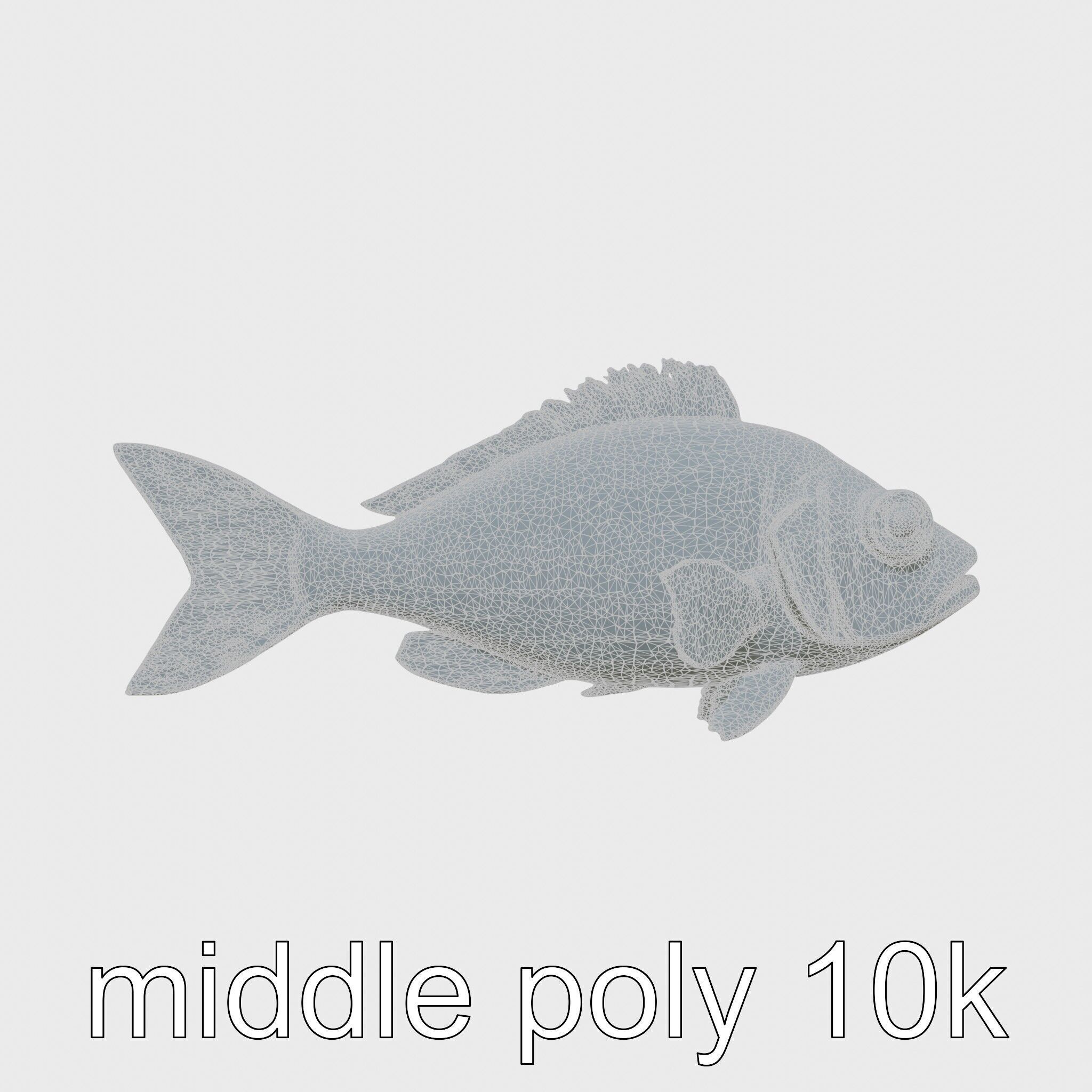 Lanternfish Bioluminescent Photophores Detailed Model Low-poly 3D model_5