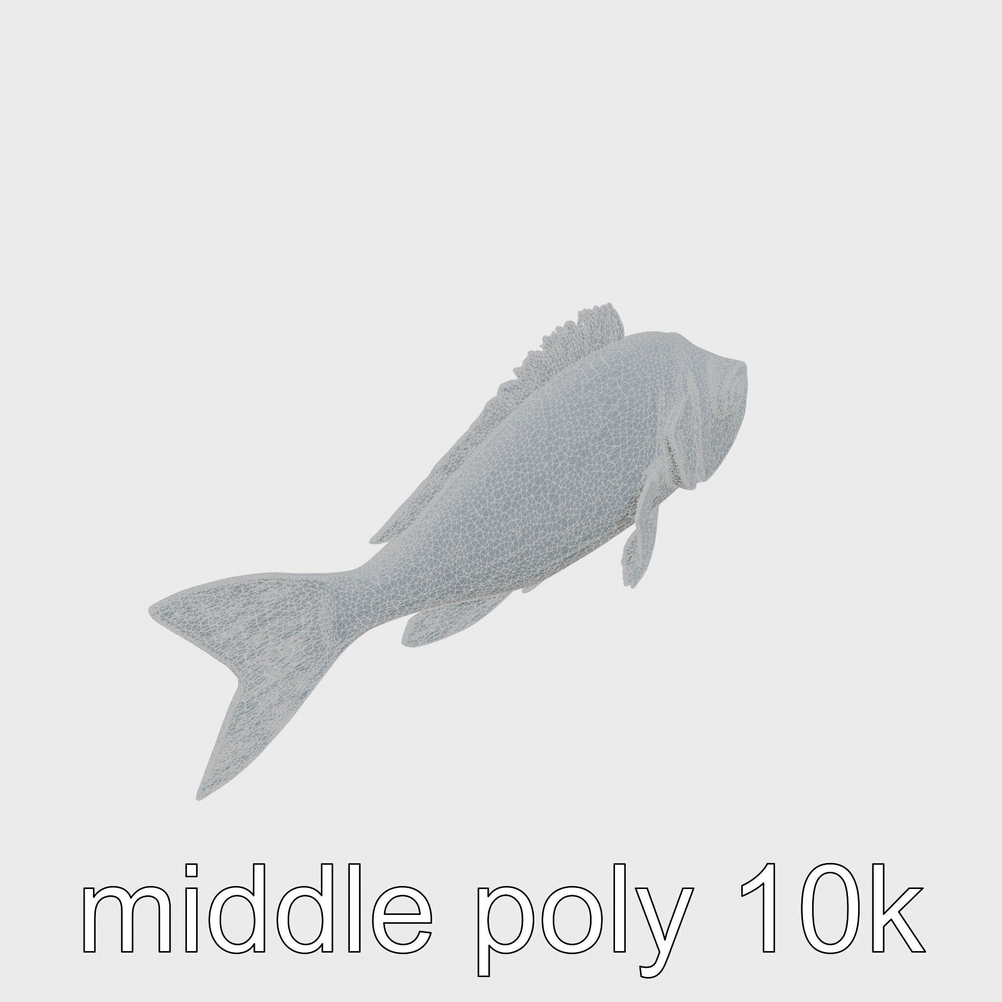 Lanternfish Bioluminescent Photophores Detailed Model Low-poly 3D model_15