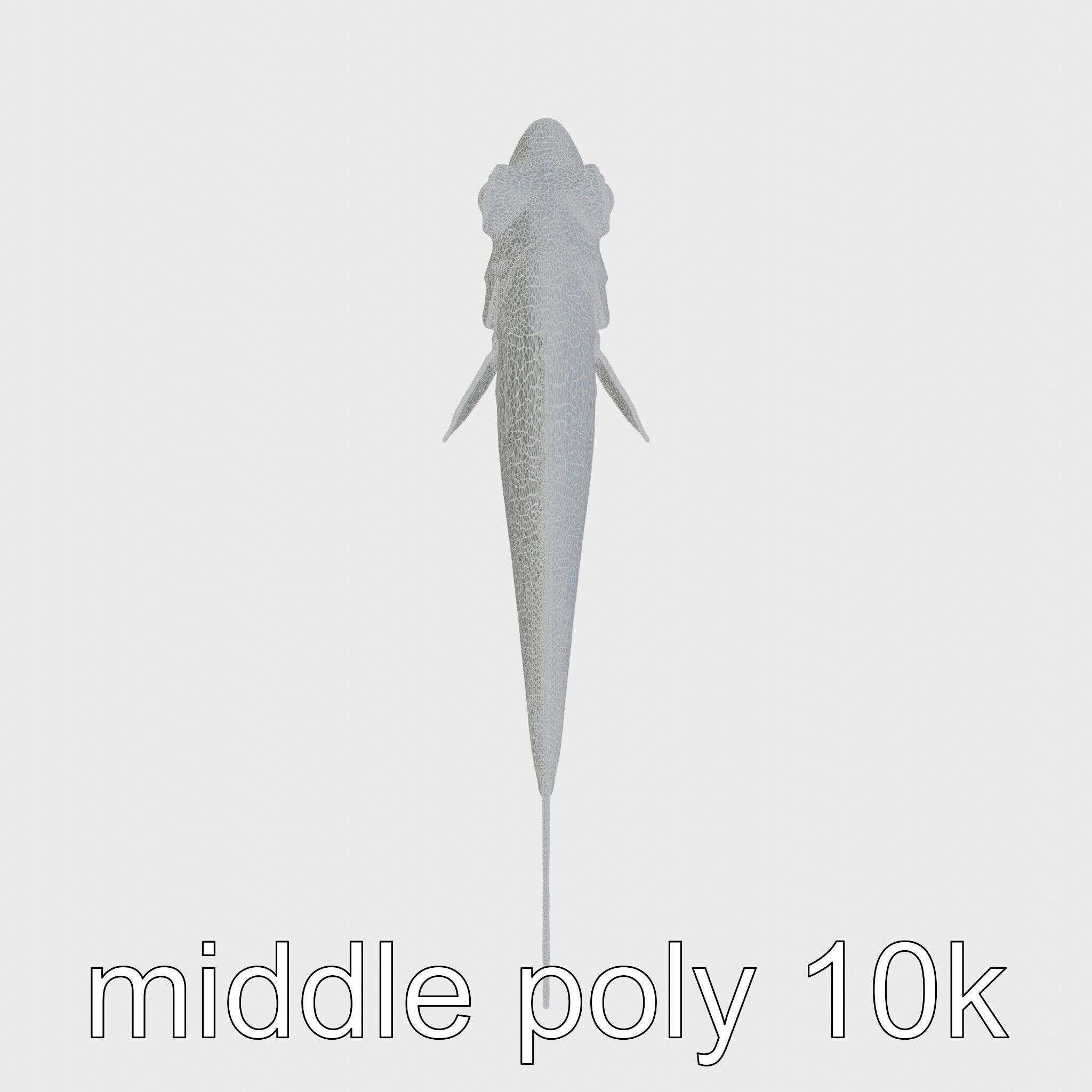 Lanternfish Bioluminescent Photophores Detailed Model Low-poly 3D model_28