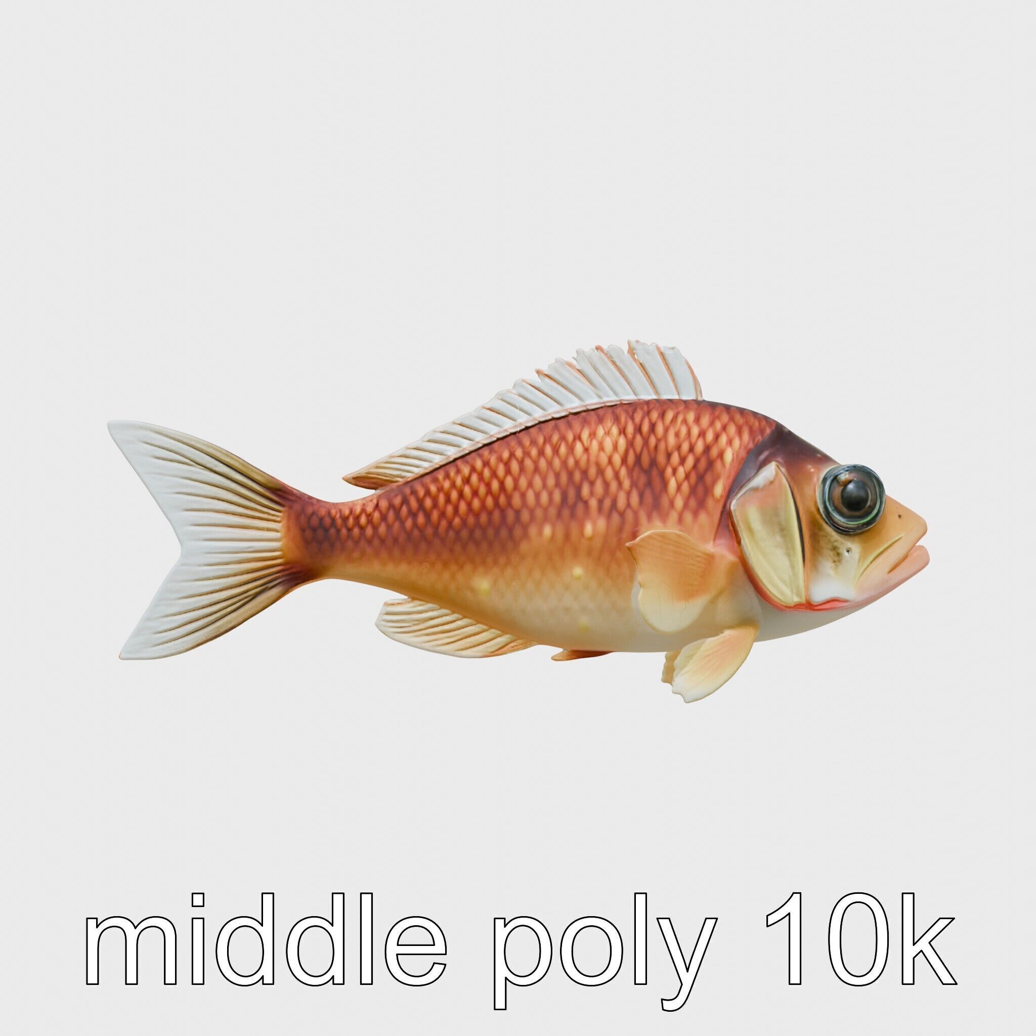 Lanternfish Bioluminescent Photophores Detailed Model Low-poly 3D model_2