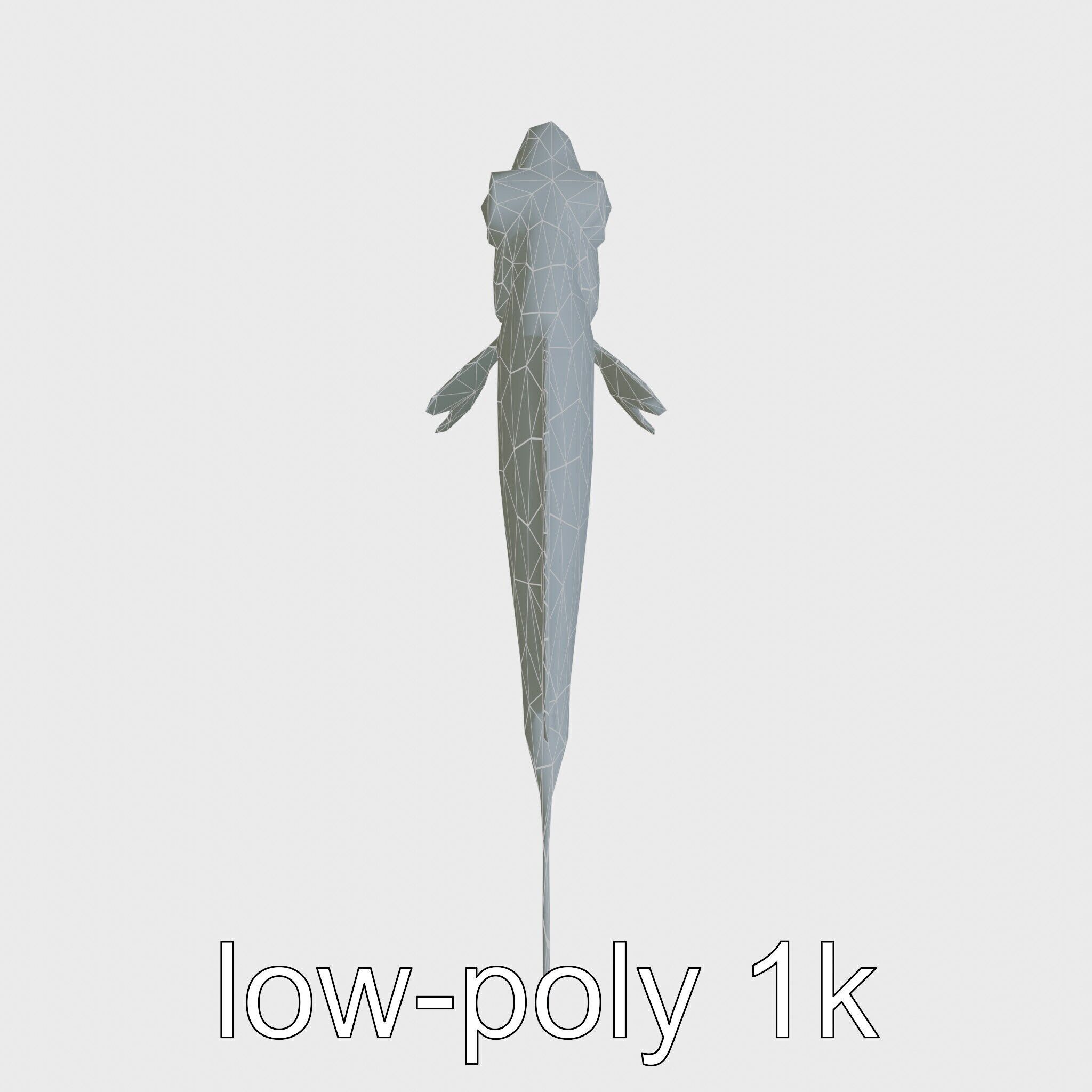 Lanternfish Bioluminescent Photophores Detailed Model Low-poly 3D model_20