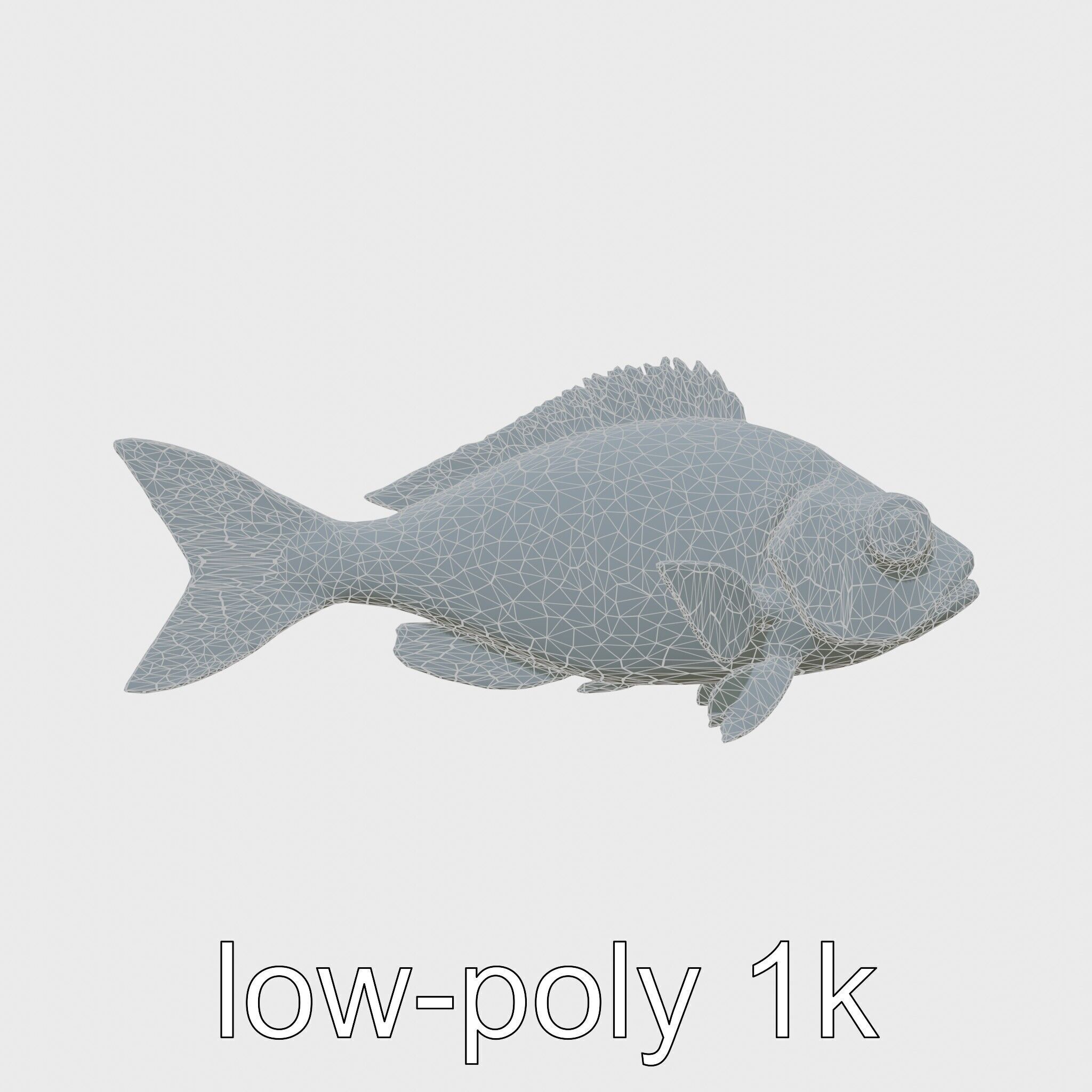 Lanternfish Bioluminescent Photophores Detailed Model Low-poly 3D model_6
