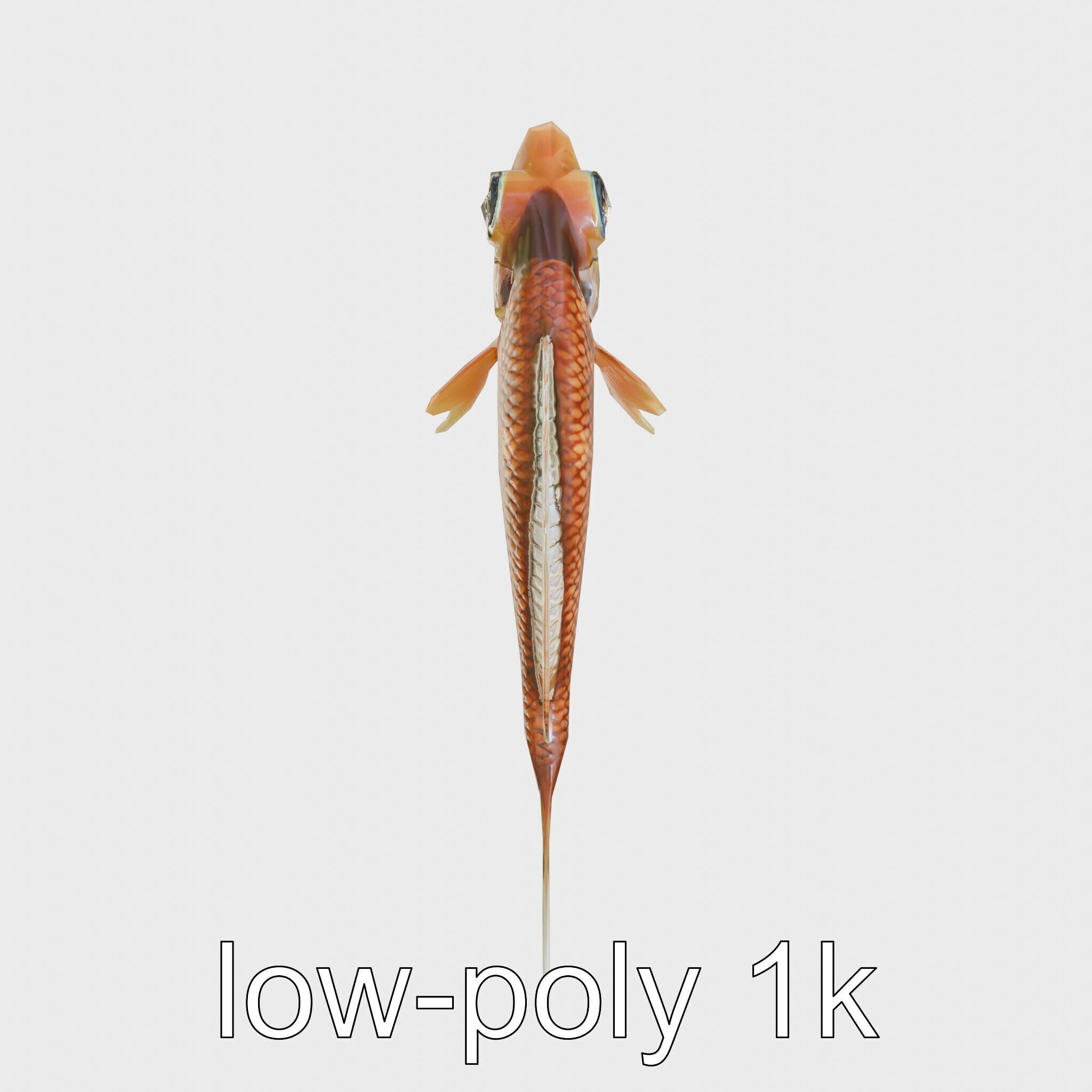 Lanternfish Bioluminescent Photophores Detailed Model Low-poly 3D model_16