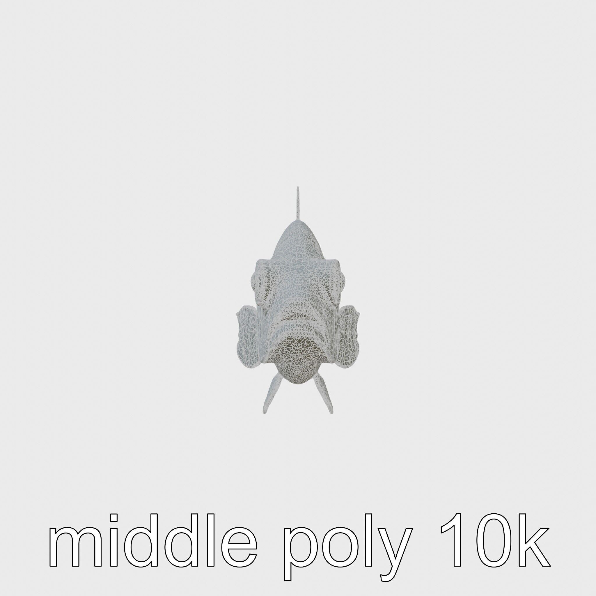 Lanternfish Bioluminescent Photophores Detailed Model Low-poly 3D model_24