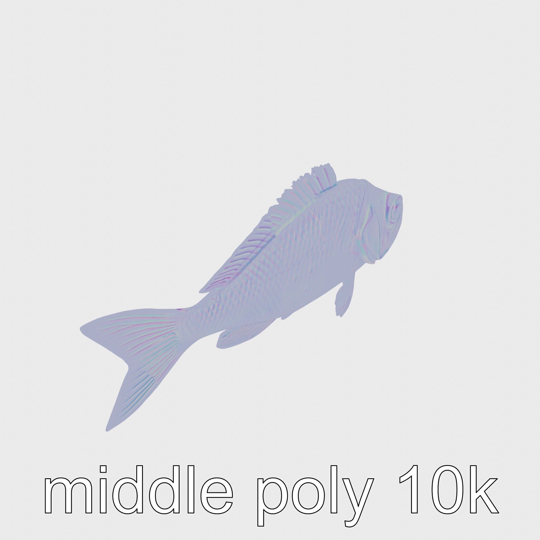 Lanternfish Bioluminescent Photophores Detailed Model Low-poly 3D model_22
