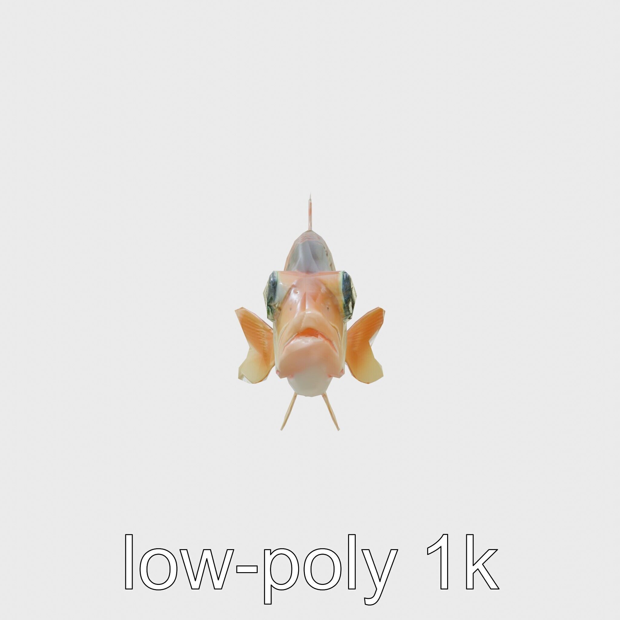 Lanternfish Bioluminescent Photophores Detailed Model Low-poly 3D model_4