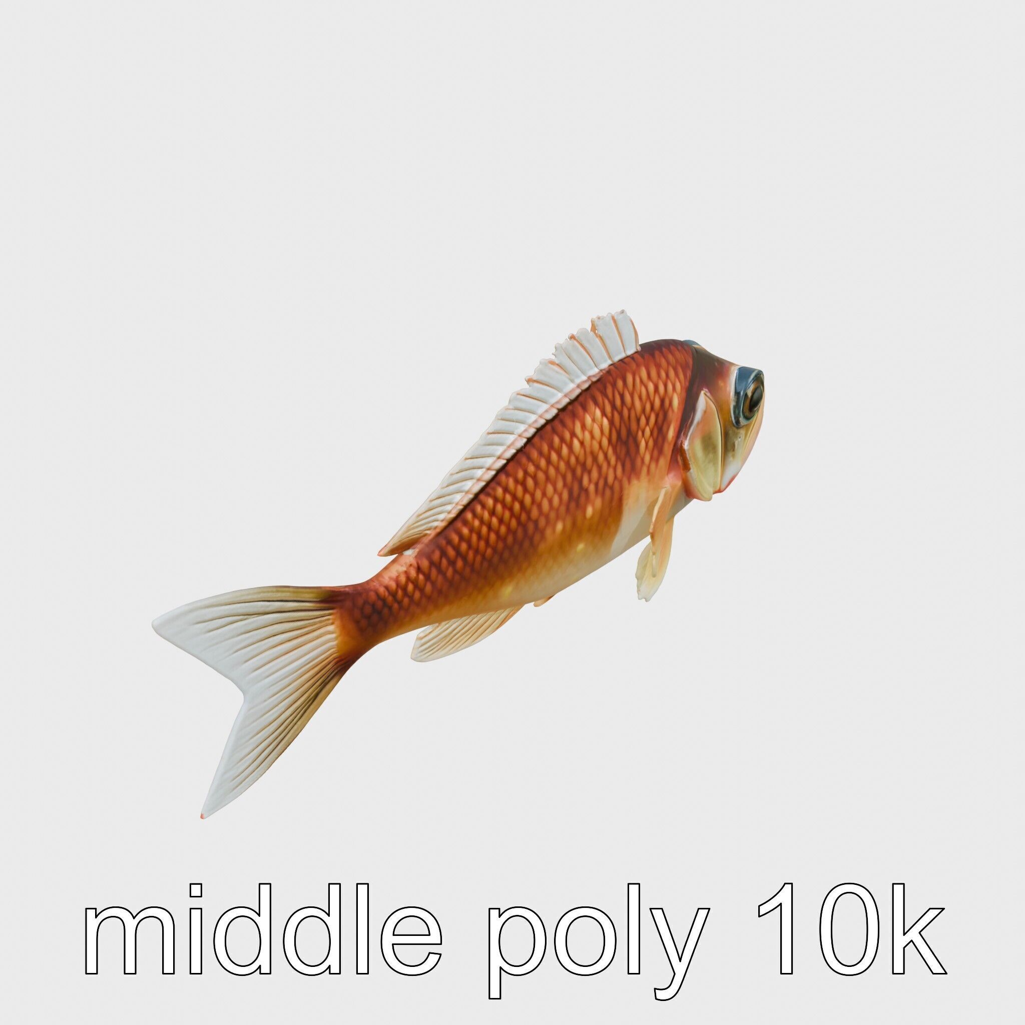 Lanternfish Bioluminescent Photophores Detailed Model Low-poly 3D model_11