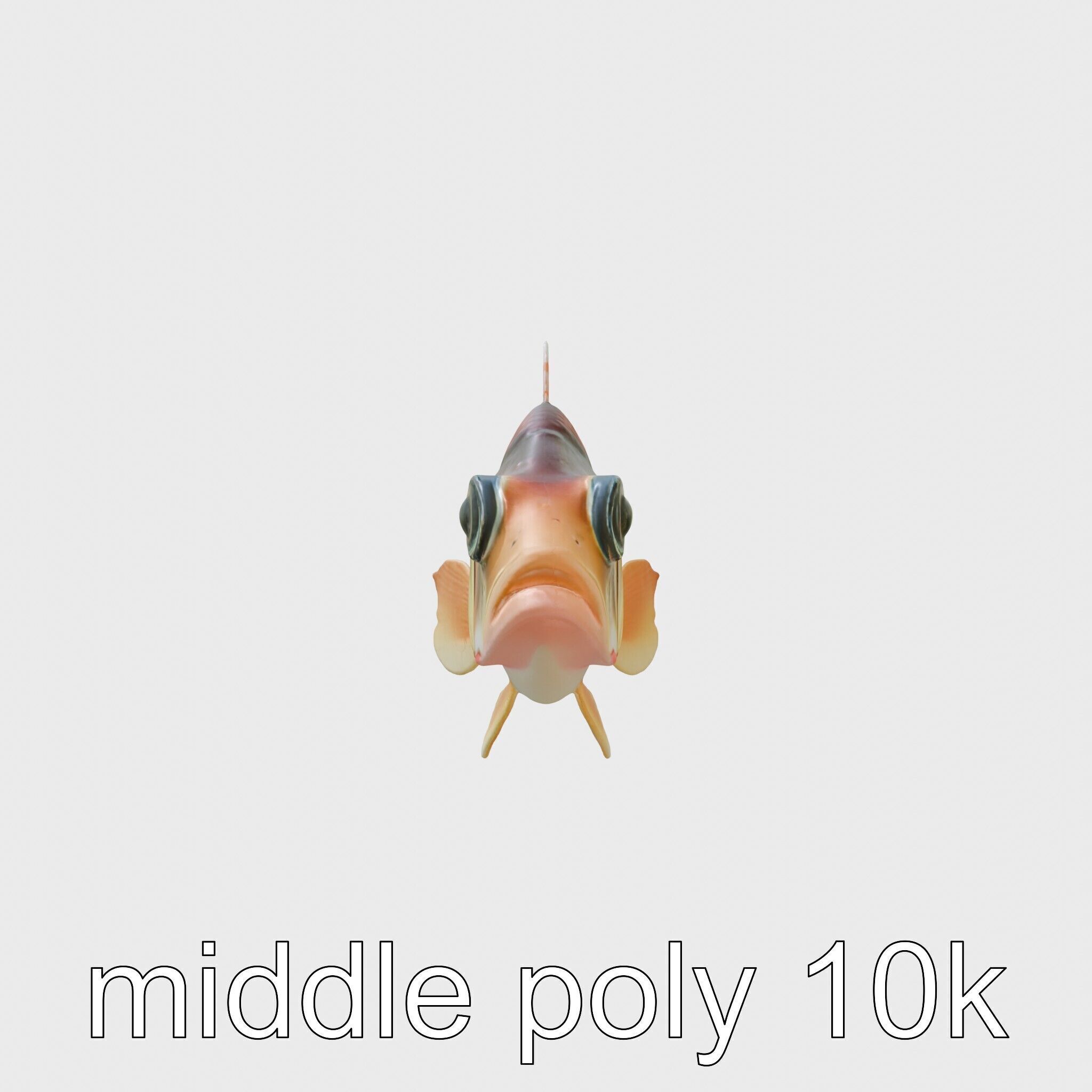 Lanternfish Bioluminescent Photophores Detailed Model Low-poly 3D model_26