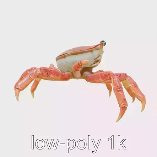Coral Crab Symbiotic Sea Creature 3D Model