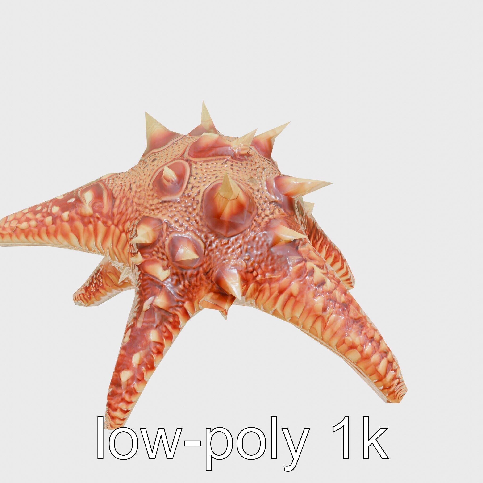 Crown-of-Thorns Starfish Venomous Spines Model Low-poly 3D model_27
