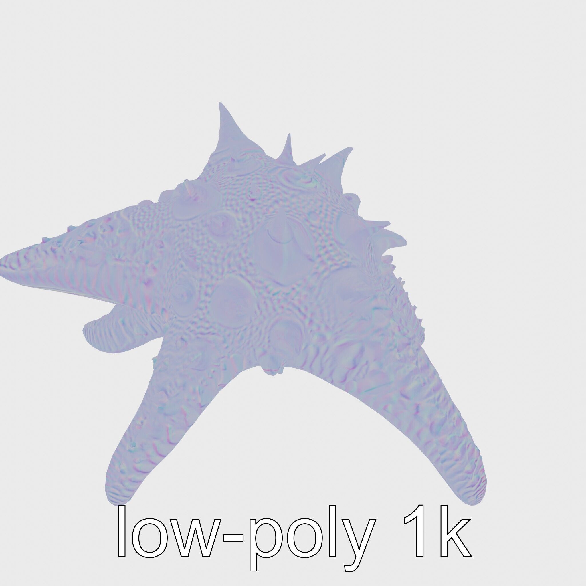 Crown-of-Thorns Starfish Venomous Spines Model Low-poly 3D model_22