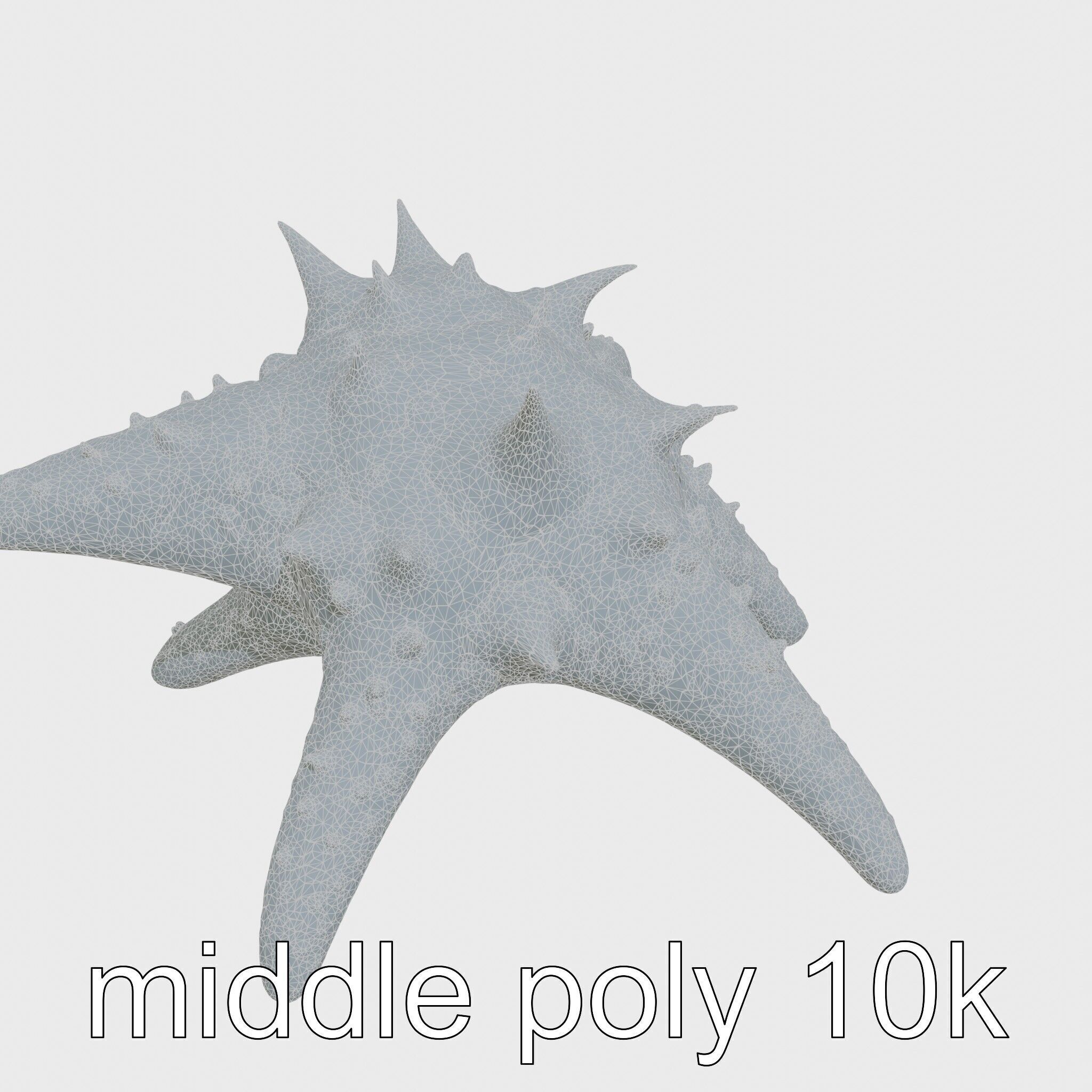 Crown-of-Thorns Starfish Venomous Spines Model Low-poly 3D model_29
