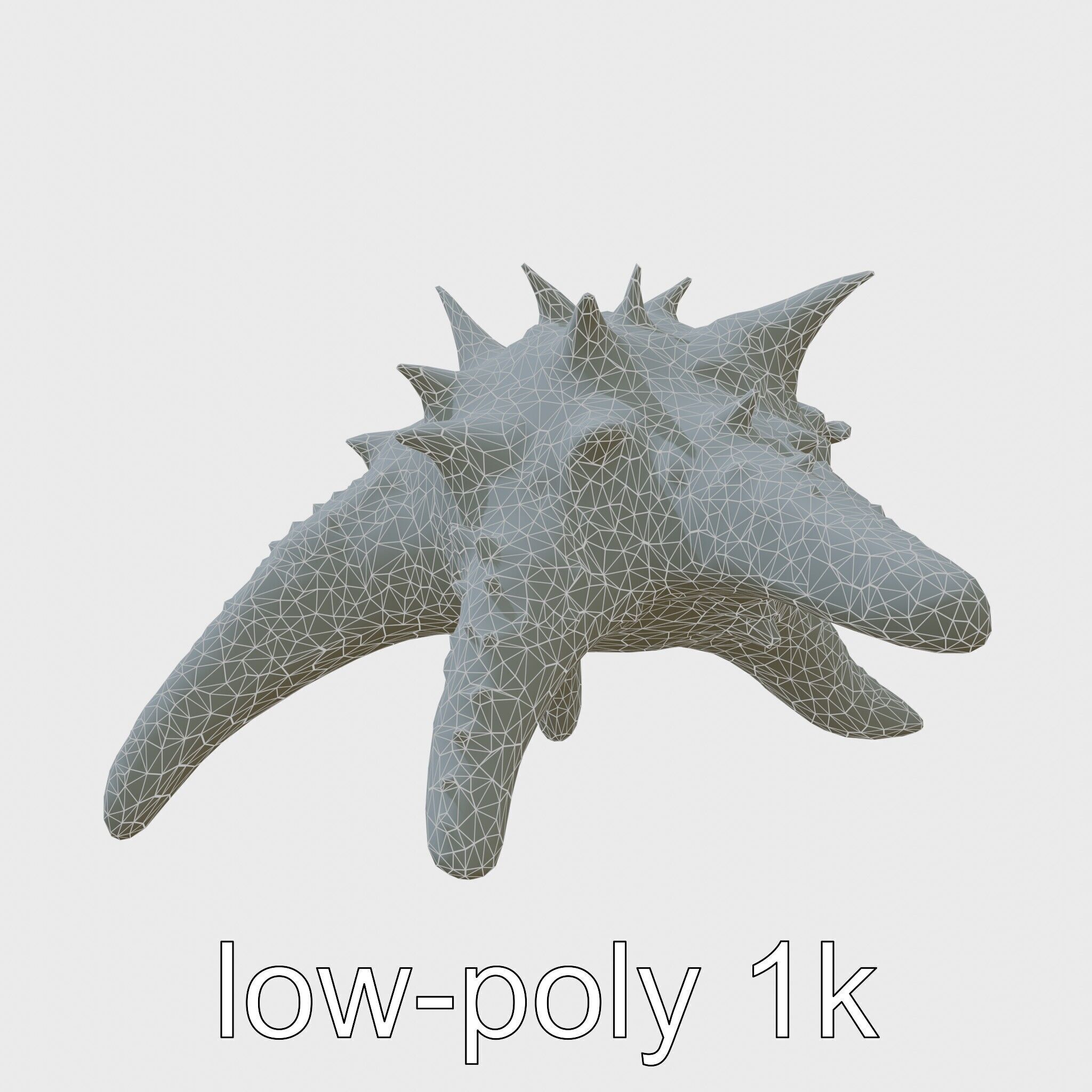 Crown-of-Thorns Starfish Venomous Spines Model Low-poly 3D model_25