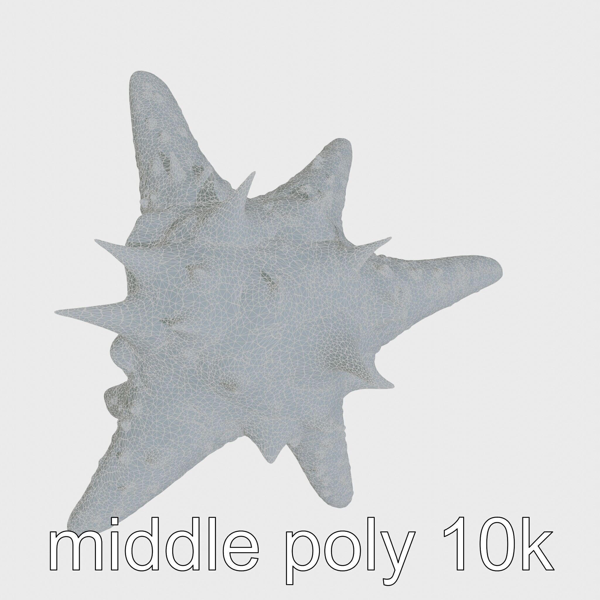 Crown-of-Thorns Starfish Venomous Spines Model Low-poly 3D model_16