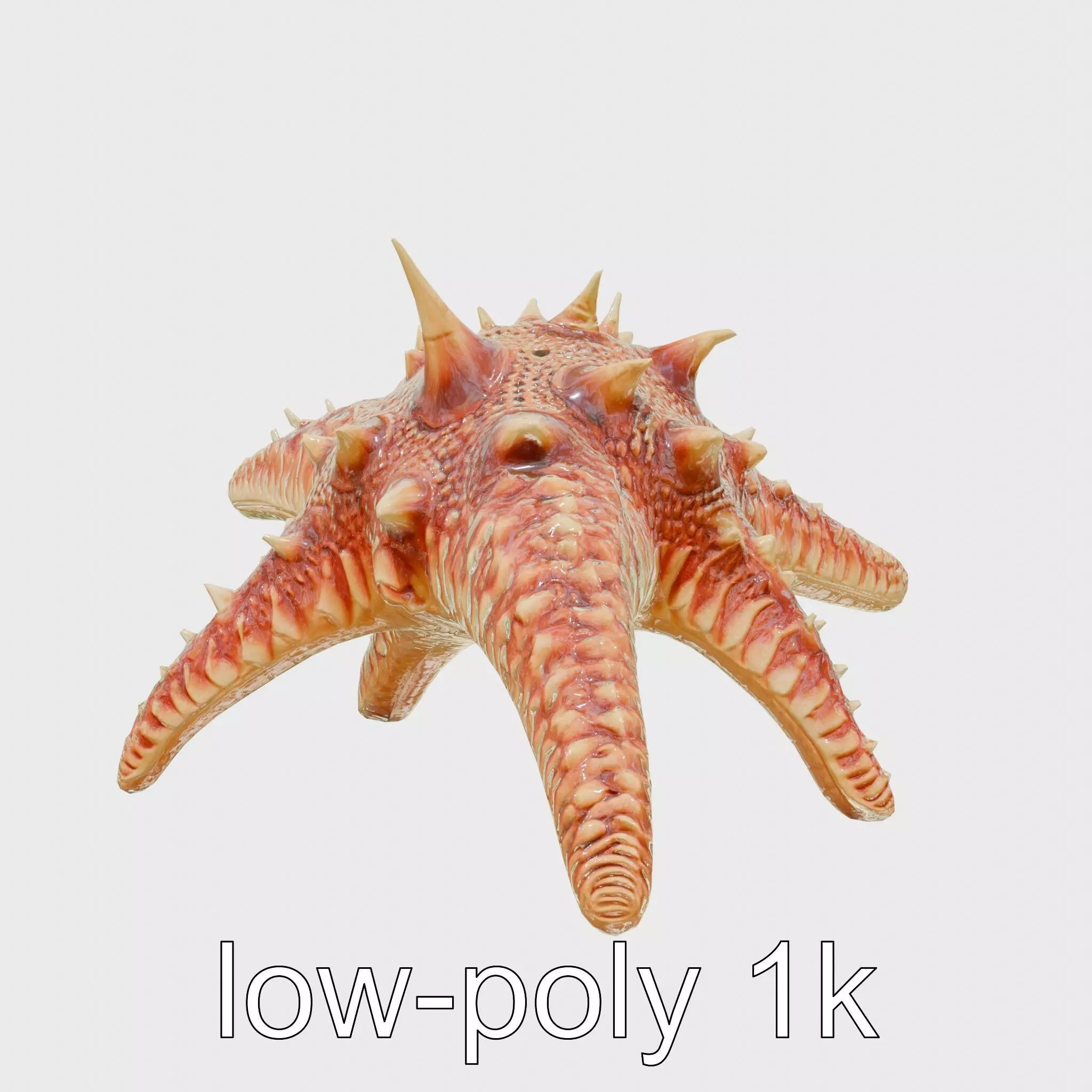 Crown-of-Thorns Starfish Venomous Spines Model Low-poly 3D model_0