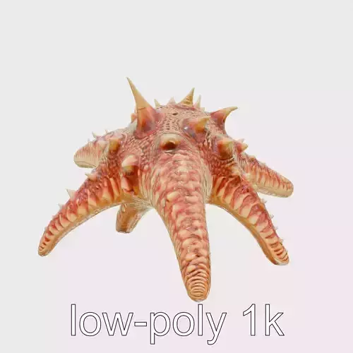 Crown-of-Thorns Starfish Venomous Spines Model Low-poly 3D model