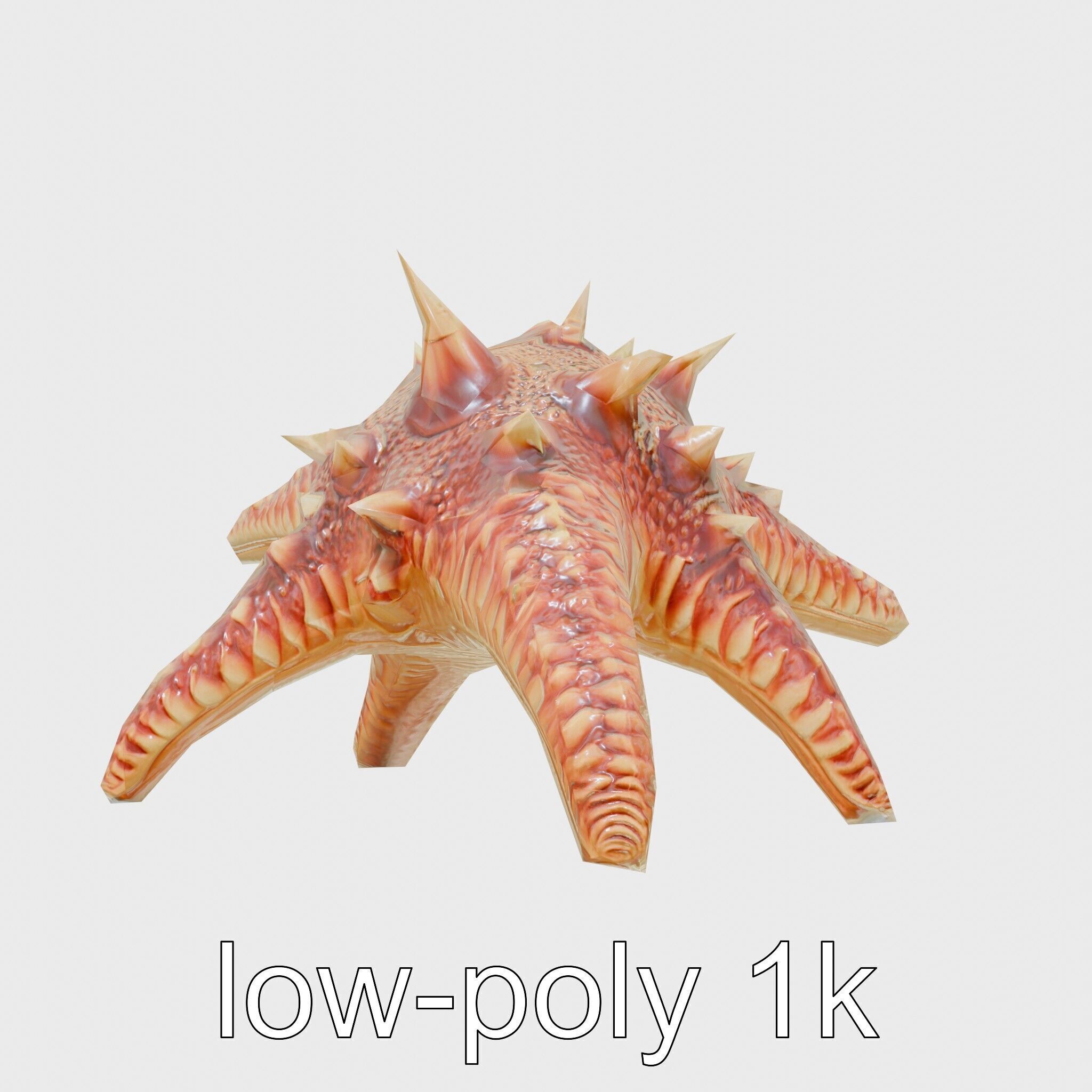 Crown-of-Thorns Starfish Venomous Spines Model Low-poly 3D model_7