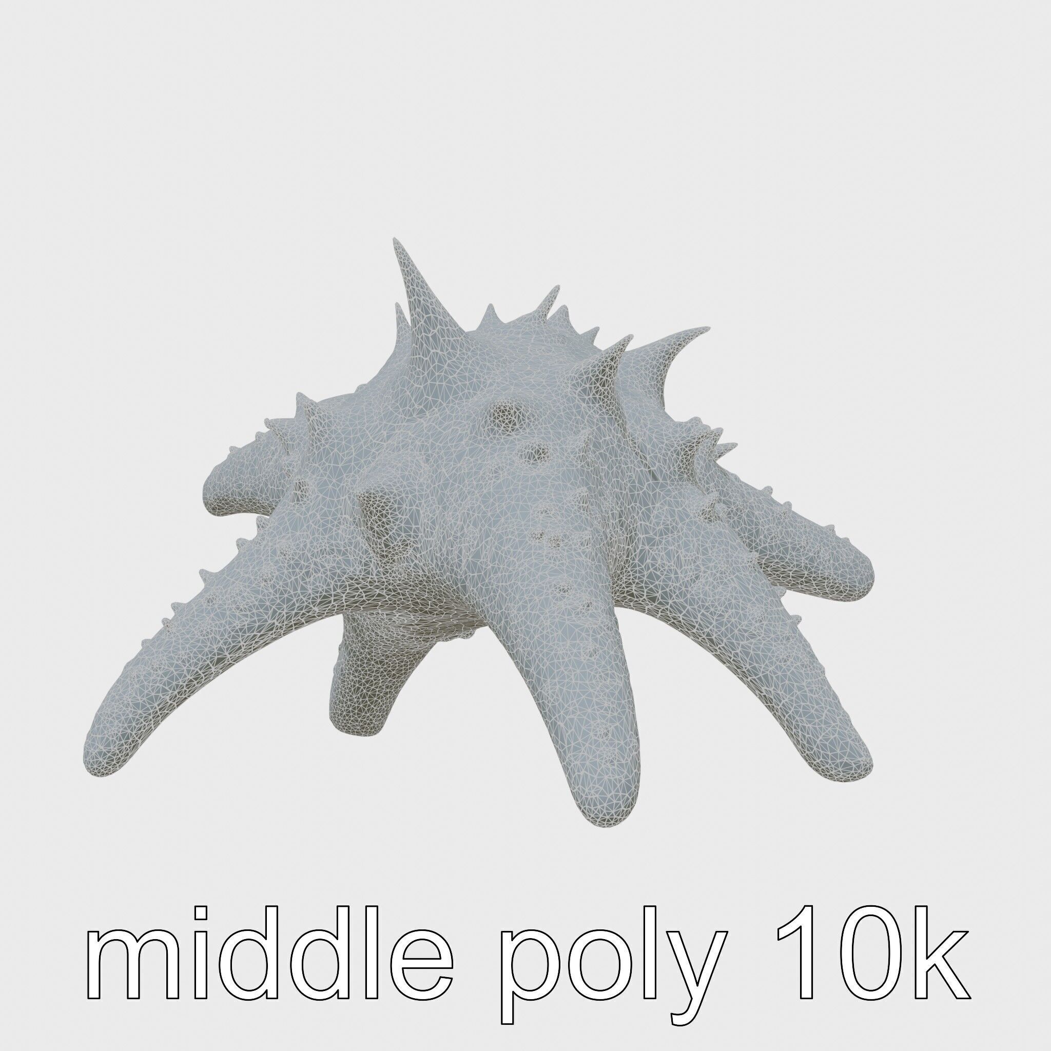 Crown-of-Thorns Starfish Venomous Spines Model Low-poly 3D model_11