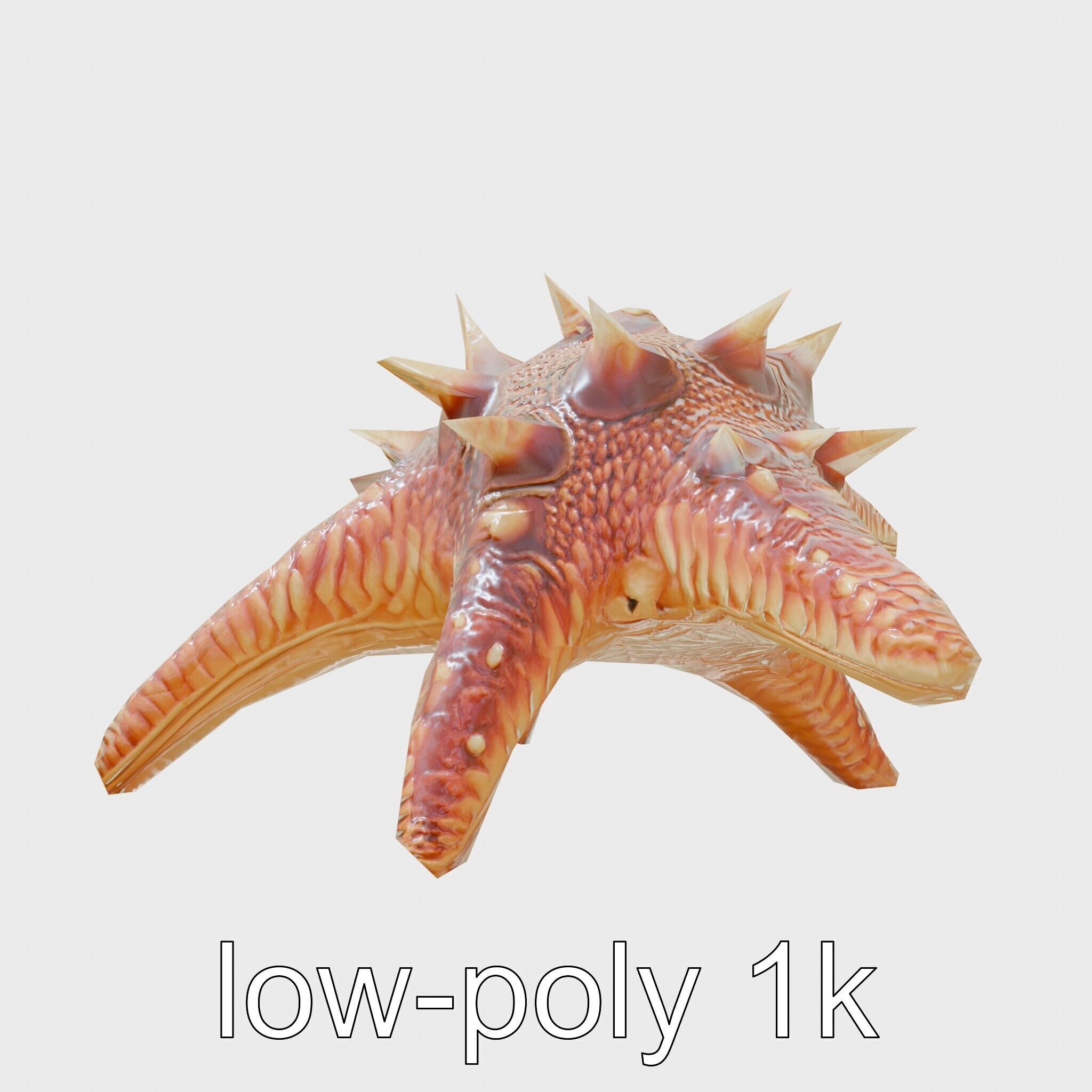 Crown-of-Thorns Starfish Venomous Spines Model Low-poly 3D model_4