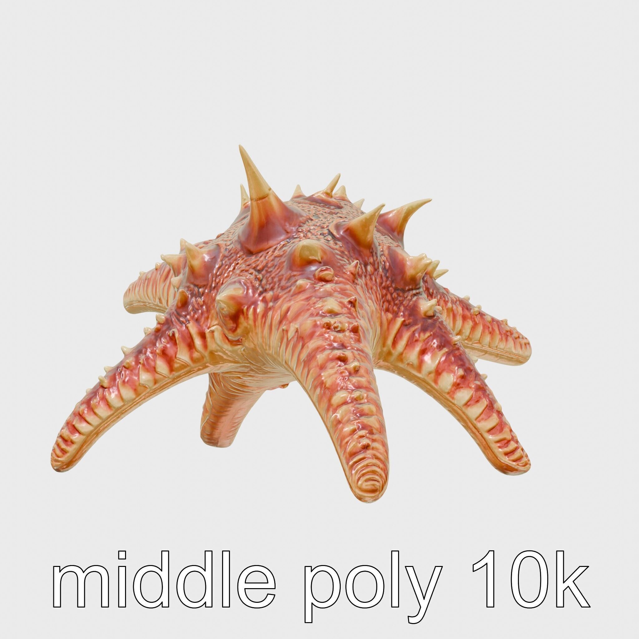 Crown-of-Thorns Starfish Venomous Spines Model Low-poly 3D model_8