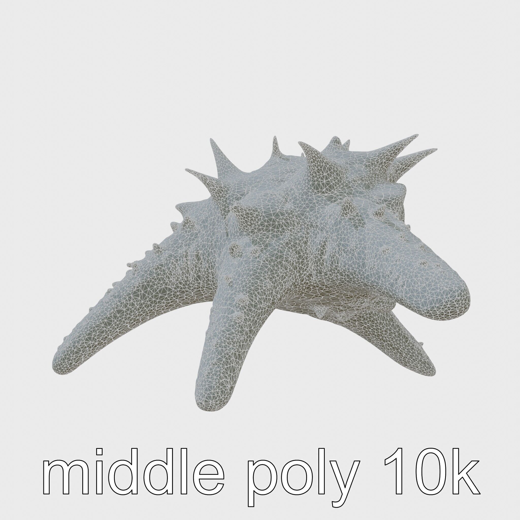 Crown-of-Thorns Starfish Venomous Spines Model Low-poly 3D model_5