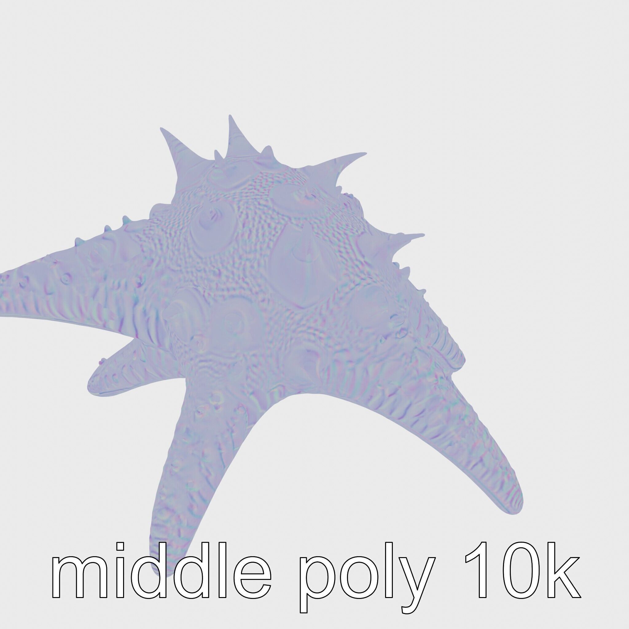 Crown-of-Thorns Starfish Venomous Spines Model Low-poly 3D model_12