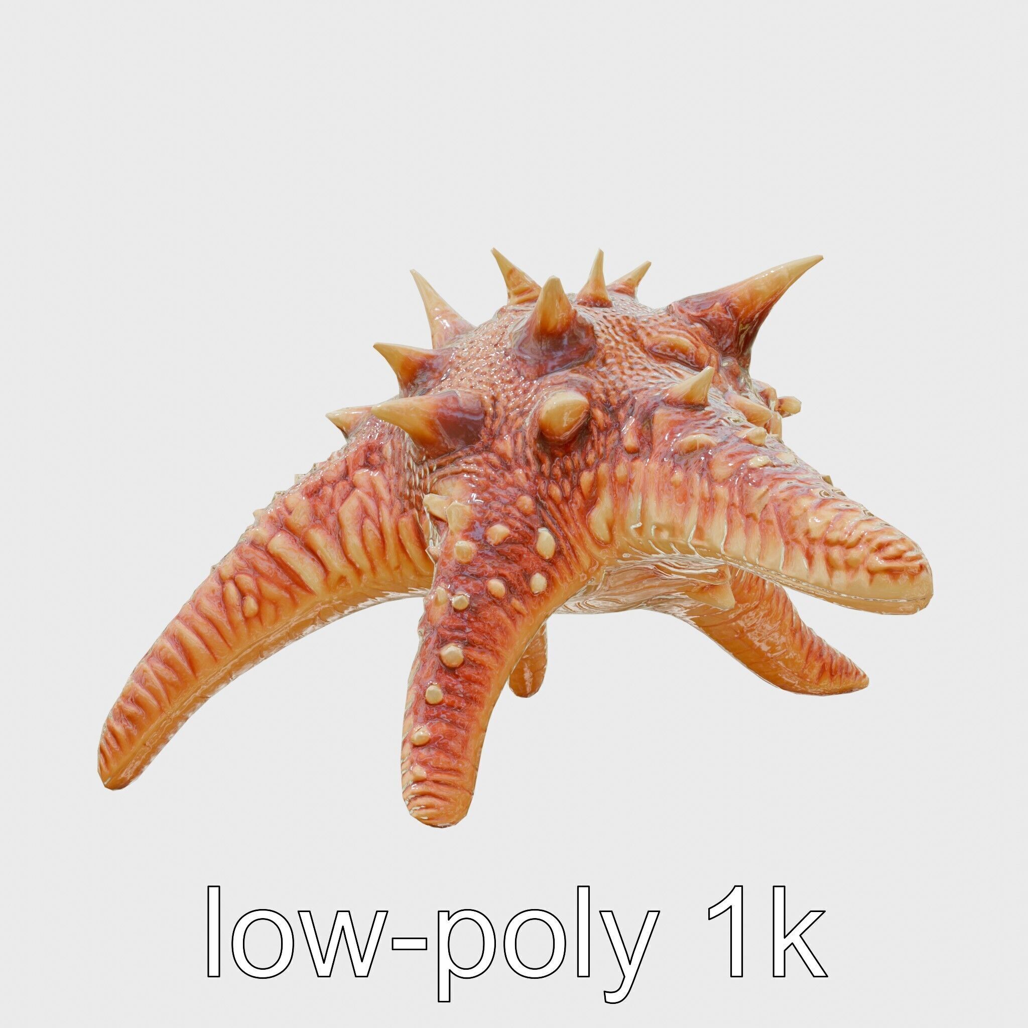 Crown-of-Thorns Starfish Venomous Spines Model Low-poly 3D model_23