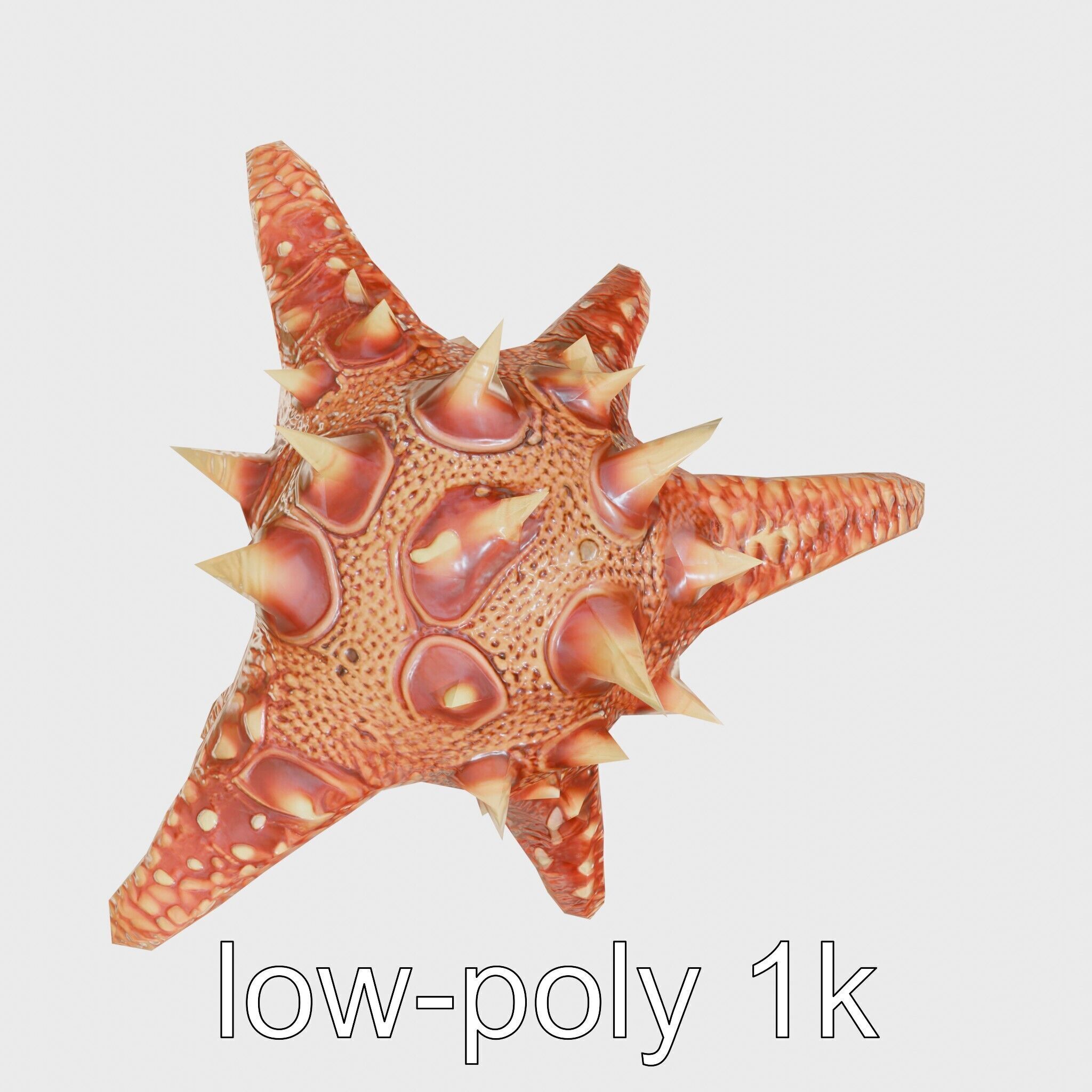 Crown-of-Thorns Starfish Venomous Spines Model Low-poly 3D model_17