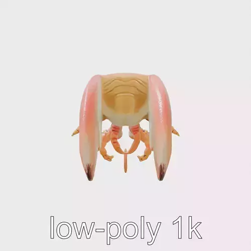 Flamboyant Cuttlefish Vibrant 3D Model